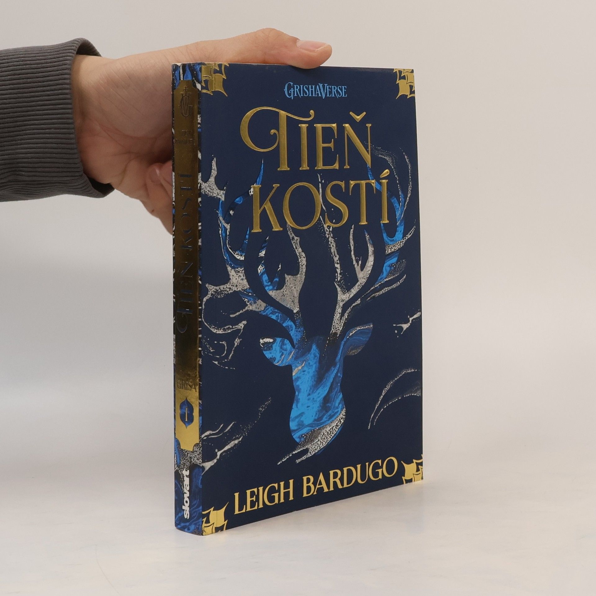 Leigh Bardugo Tieň kostí