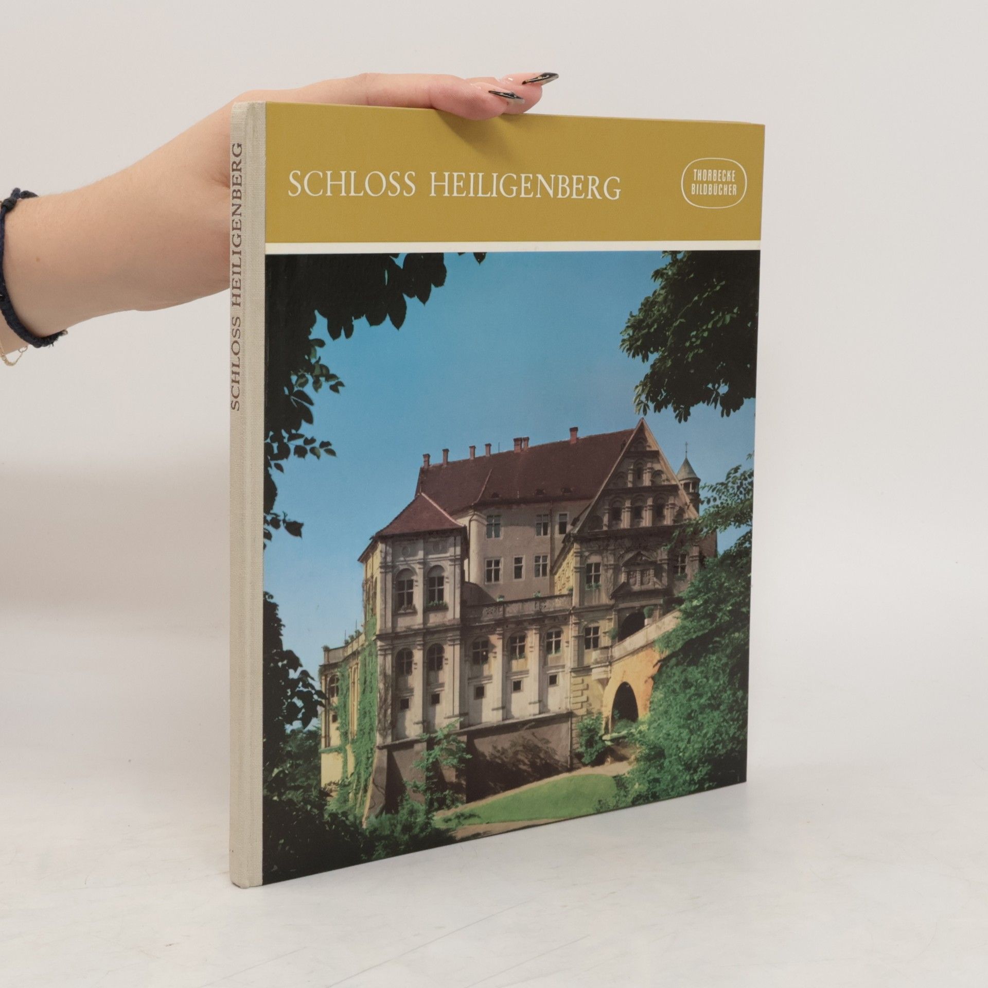 Collectif d'auteurs Schloss Heiligenberg