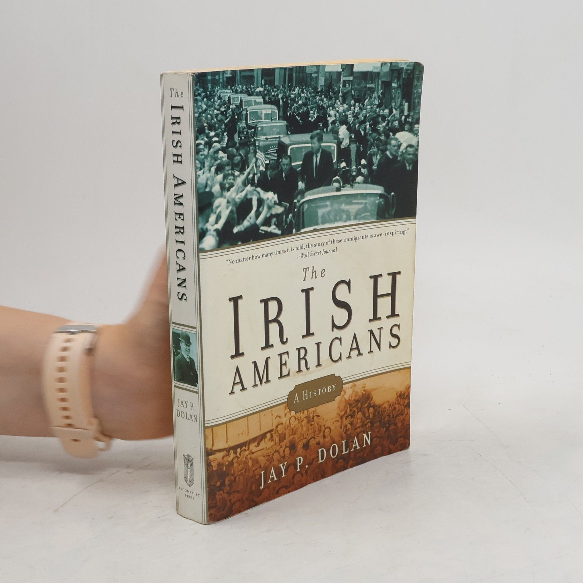 Jay P Dolan The Irish Americans