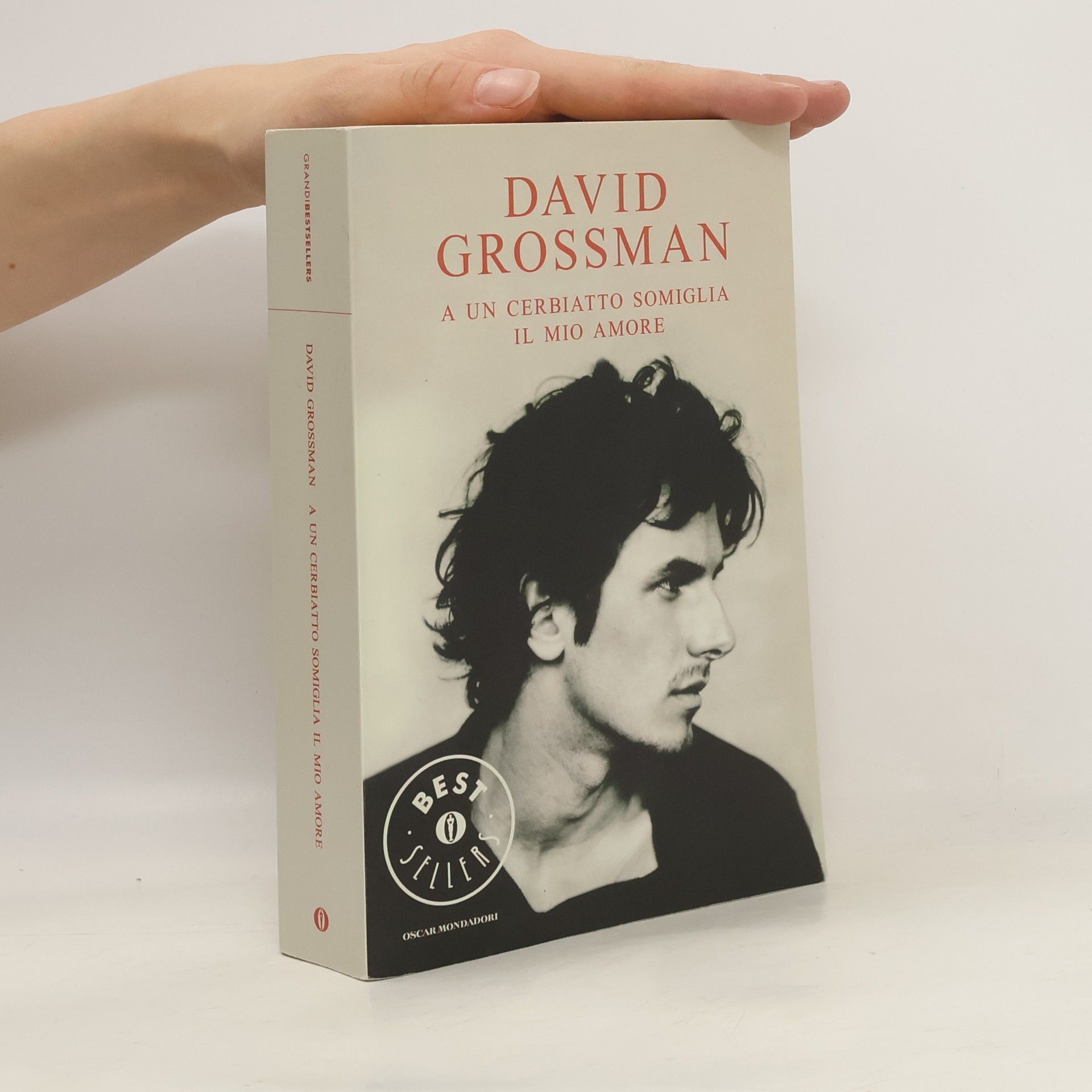 David Grossman A un cerbiatto somiglia il mio amore