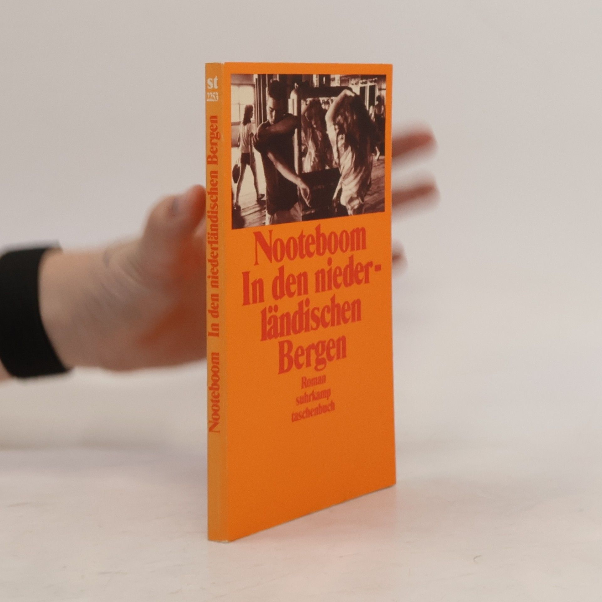 Cees Nooteboom In den niederländischen Bergen
