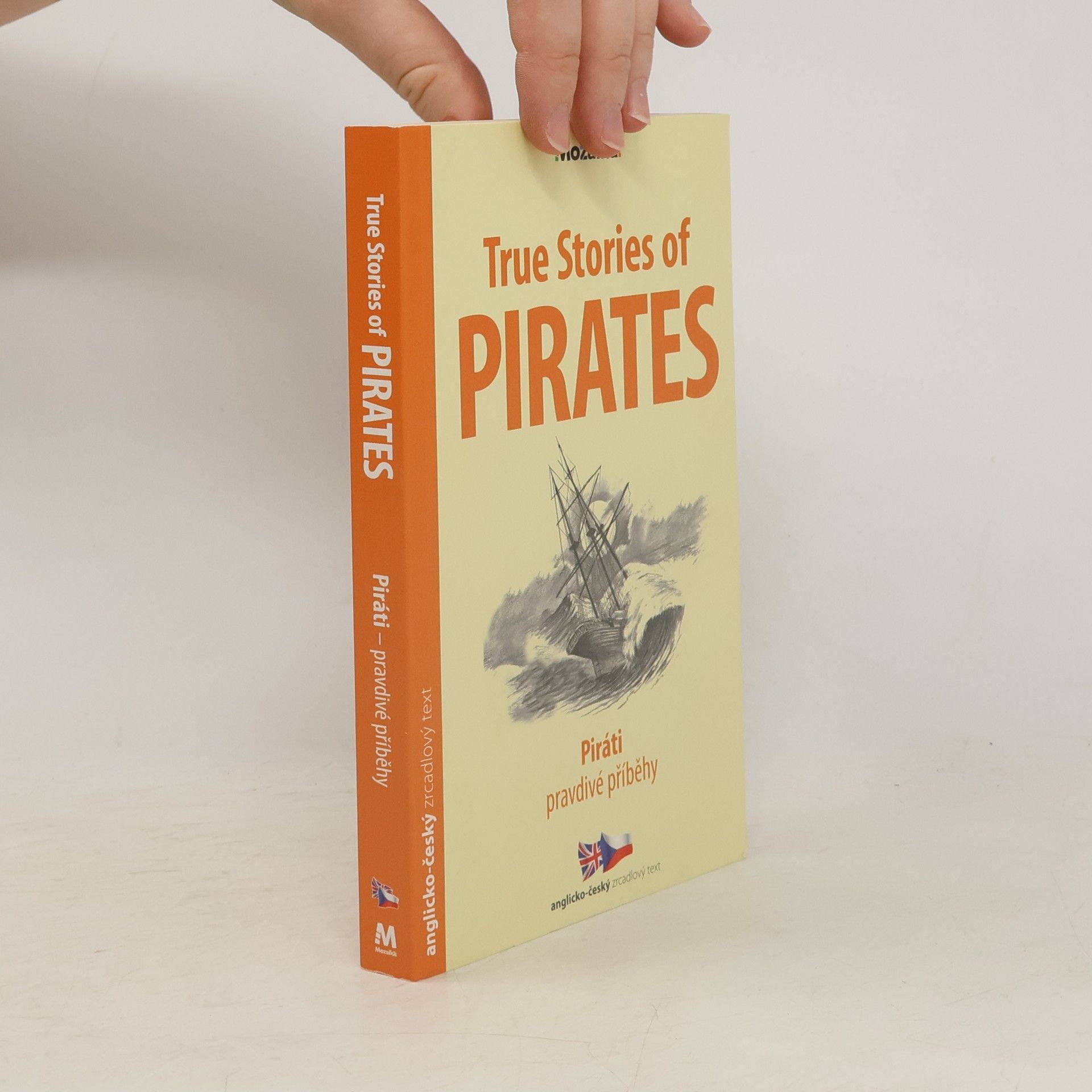 Lucy Lethbridge True Stories of Pirates / Piráti