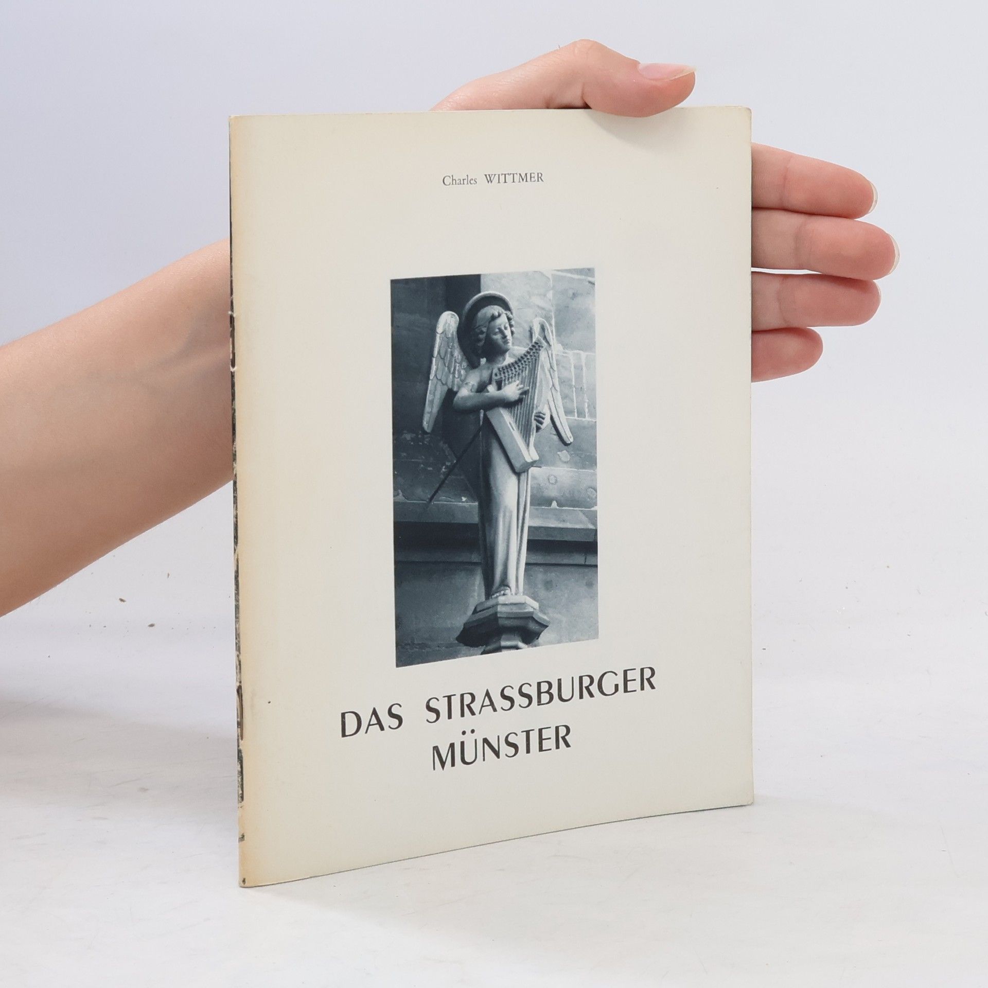 Charles Wittmer Das Strassburger Münster