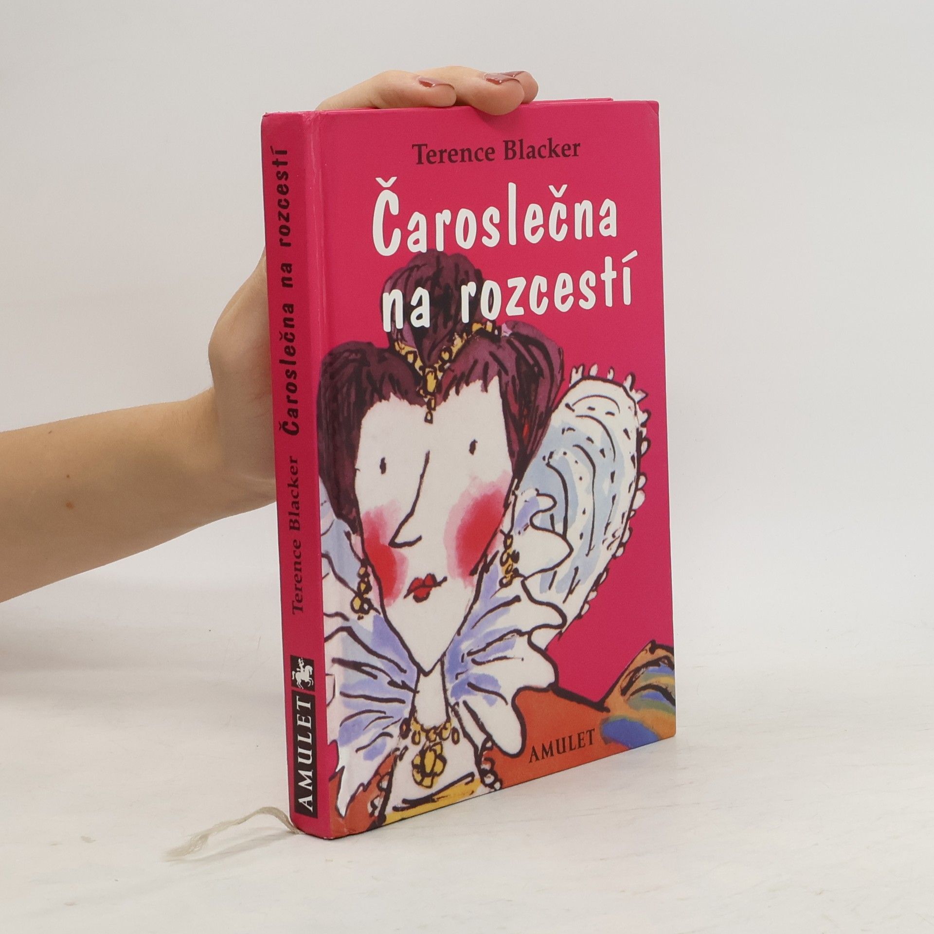 Terence Blacker Čaroslečna na rozcestí