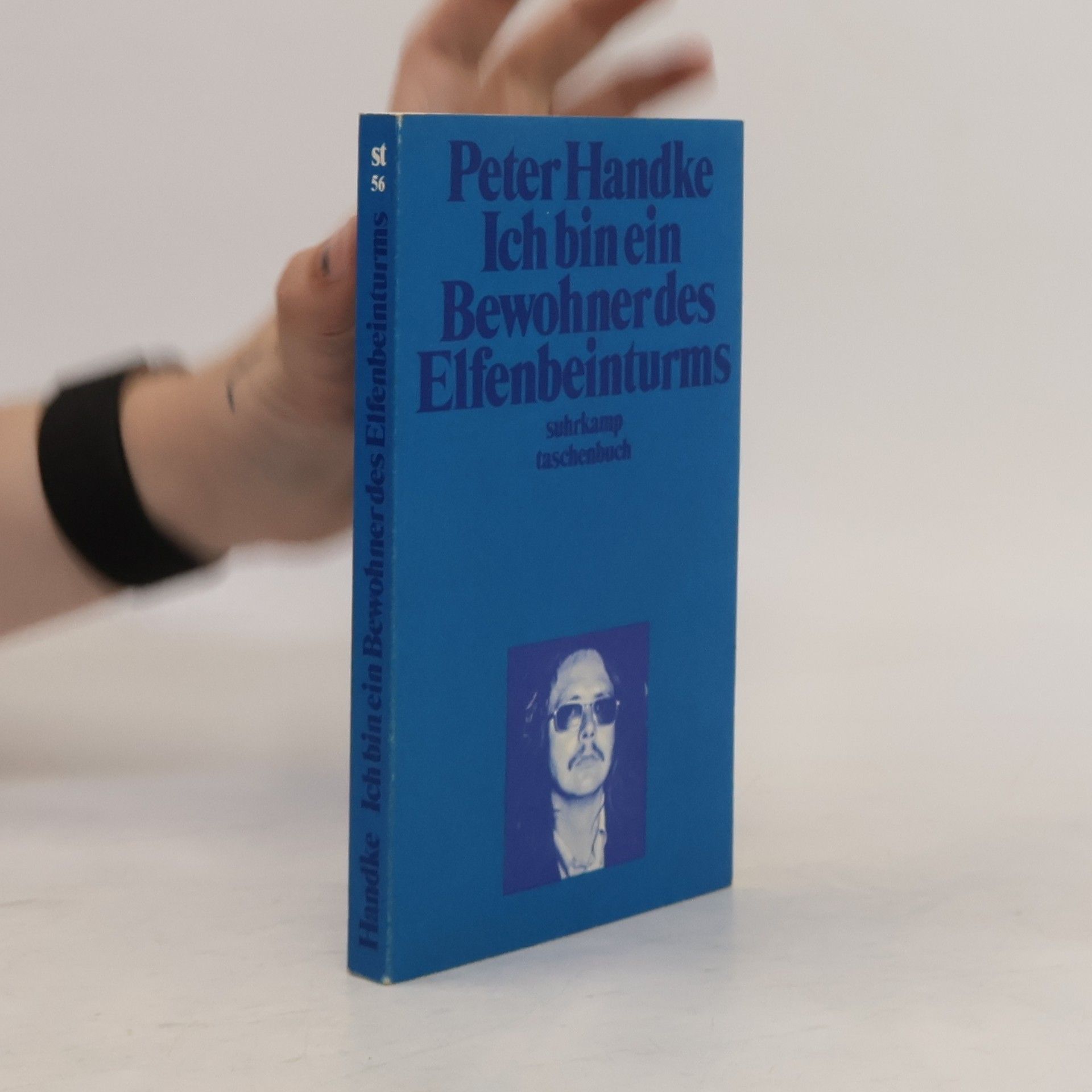 Peter Handke Ich bin ein Bewohner des Elfenbeinturms