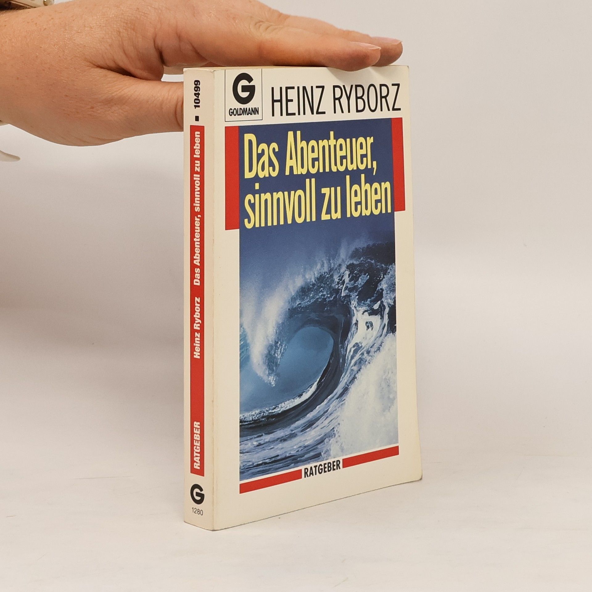 Heinz Ryborz Das Abenteuer, sinnvoll zu leben
