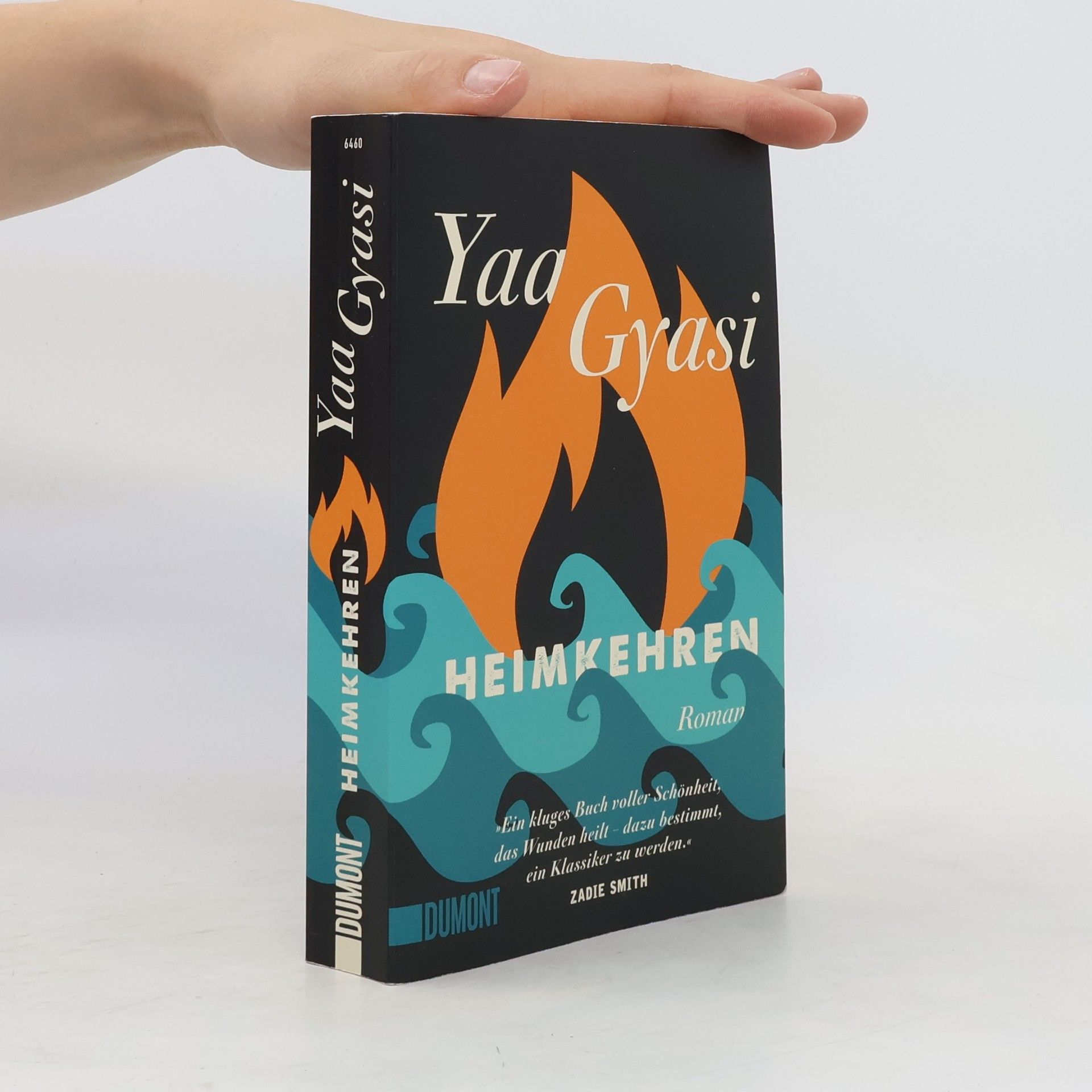 Yaa Gyasi Heimkehren