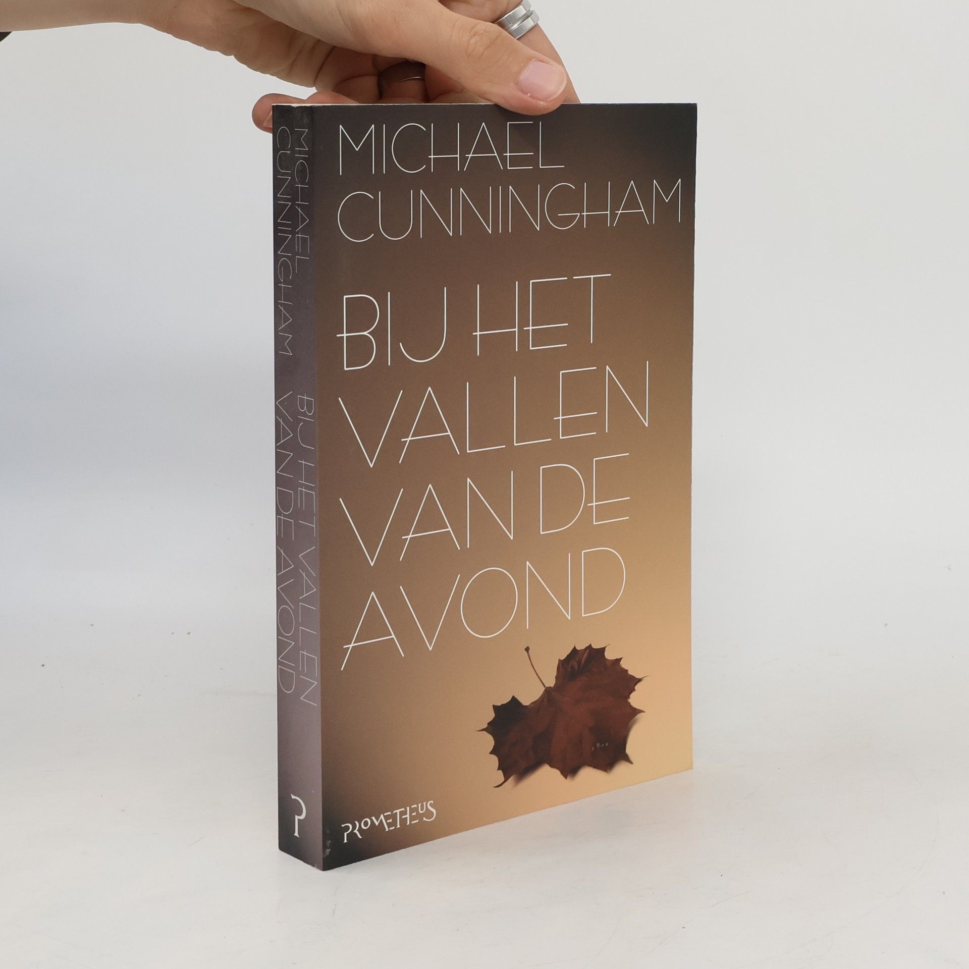 Michael Cunningham Bij het vallen van de avond