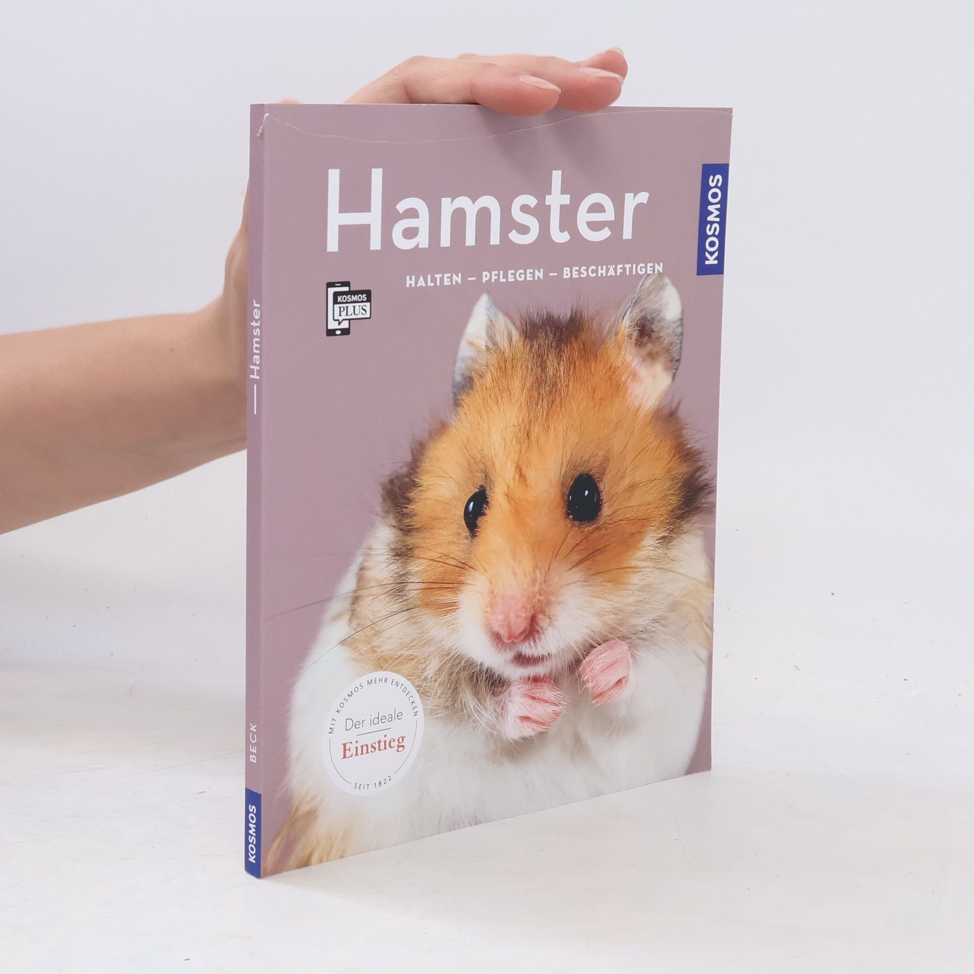 Angela Beck Hamster