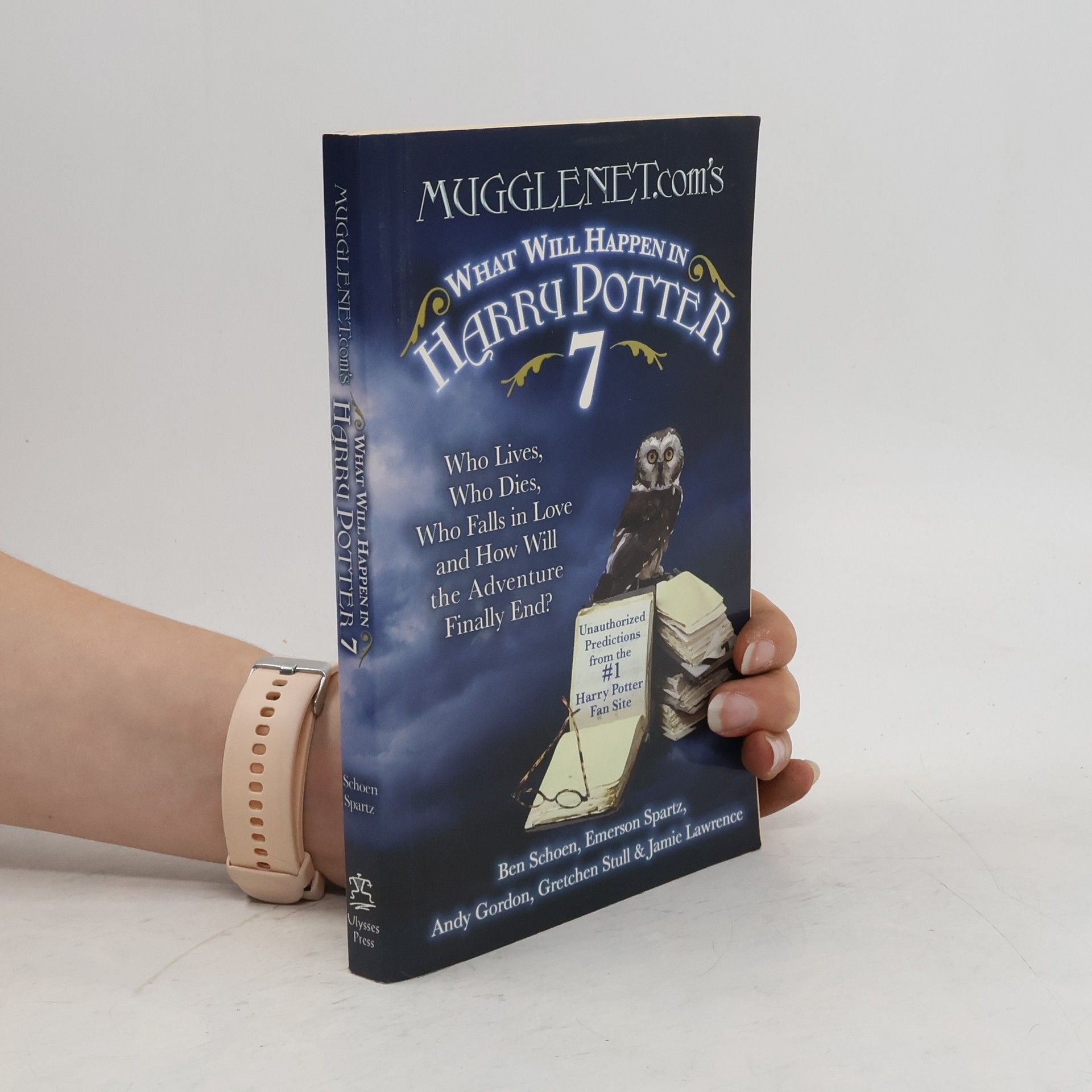 Ben Schoen What Will Happen in Harry Potter 7