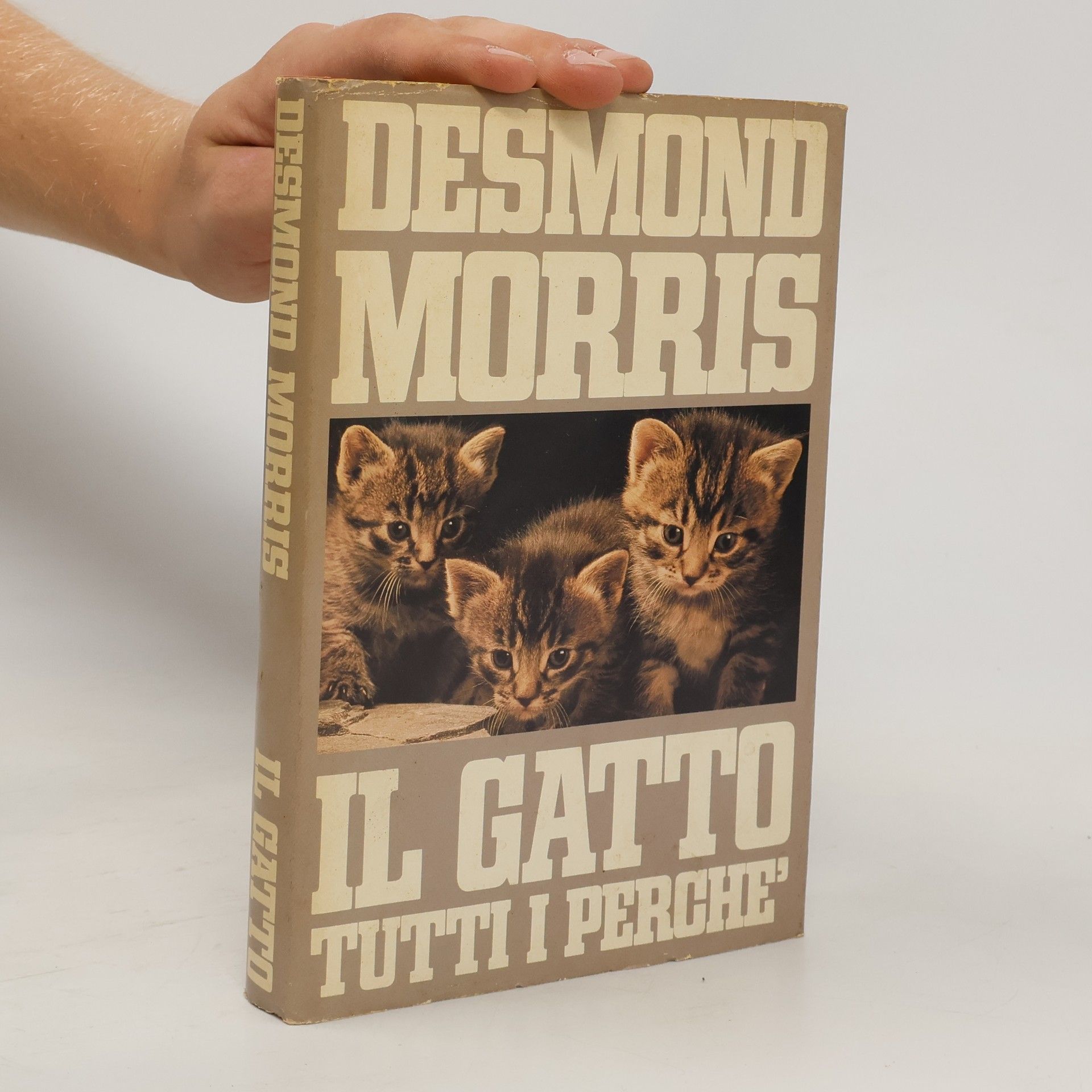 Desmond Morris Il gatto. Tutti i perché