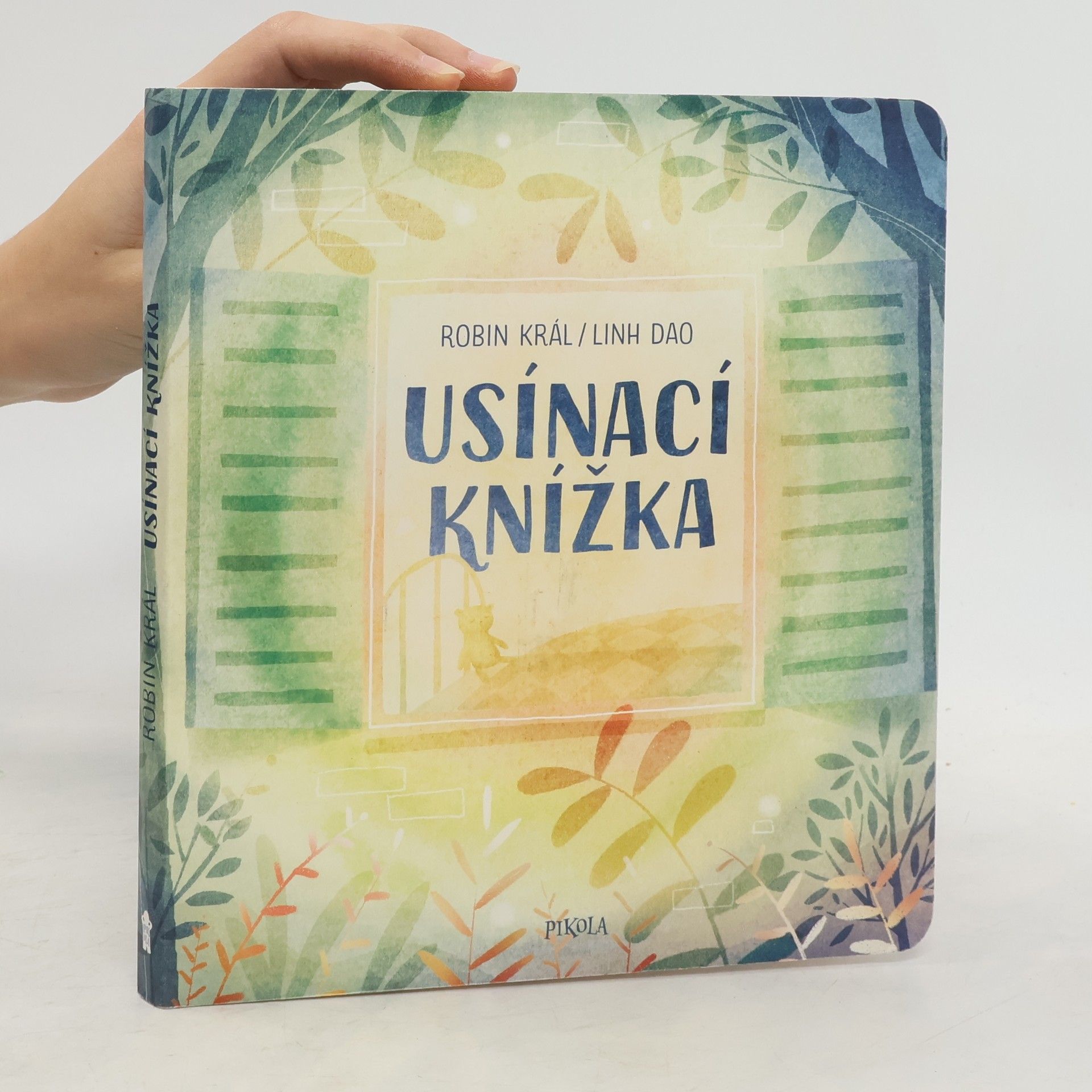 Robin Král Usínací knížka