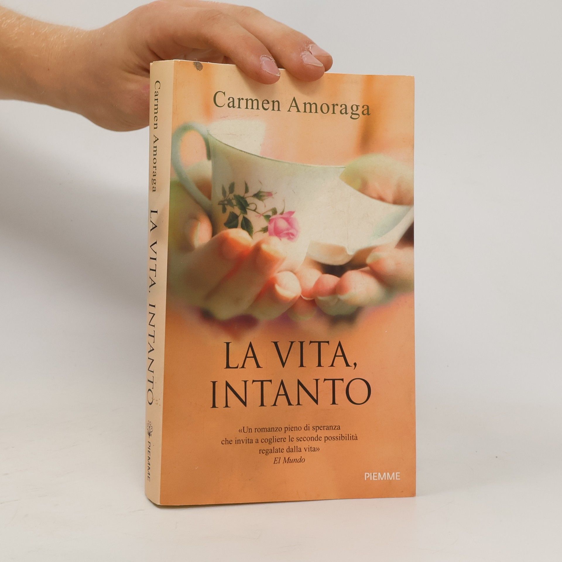 Carmen Amoraga La vita, intanto