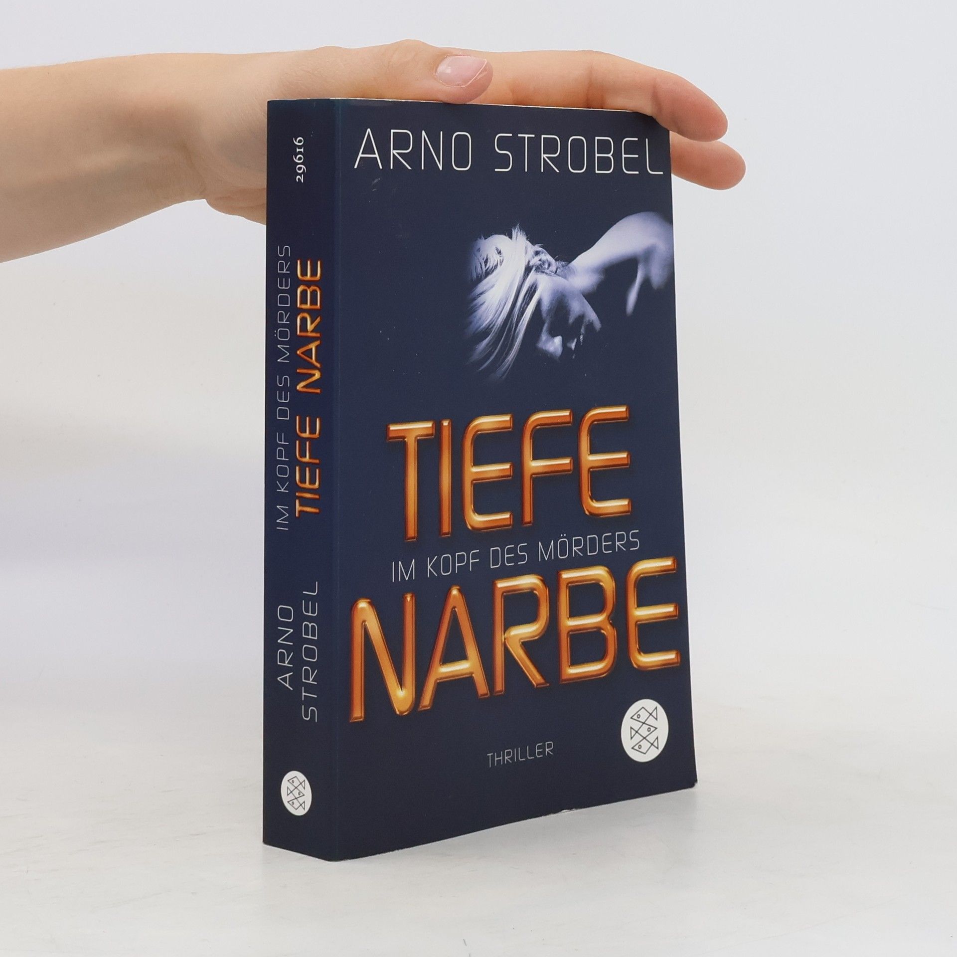 Arno Strobel Im Kopf des Mörders - Tiefe Narbe