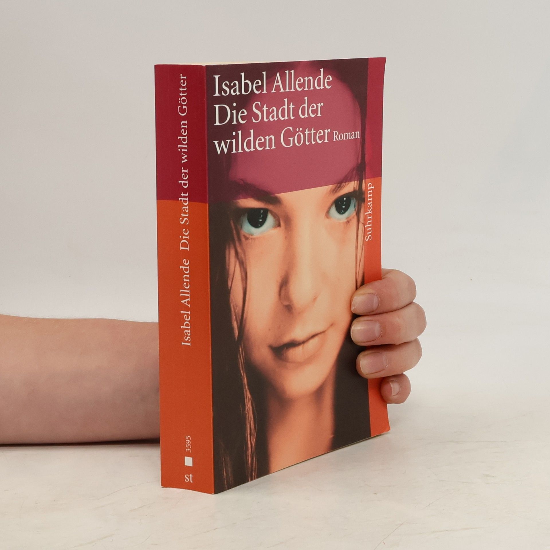 Isabel Allende Die Stadt der wilden Götter