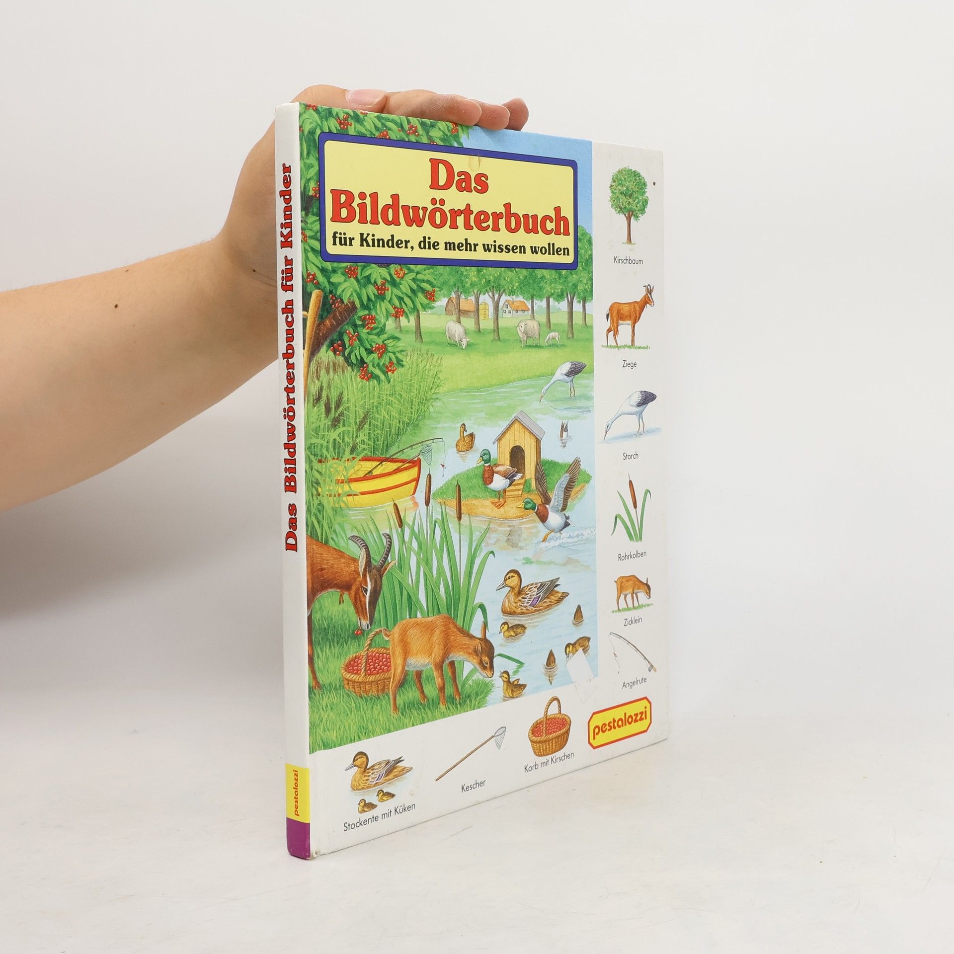 Bob Bampton Das Bildwörterbuch