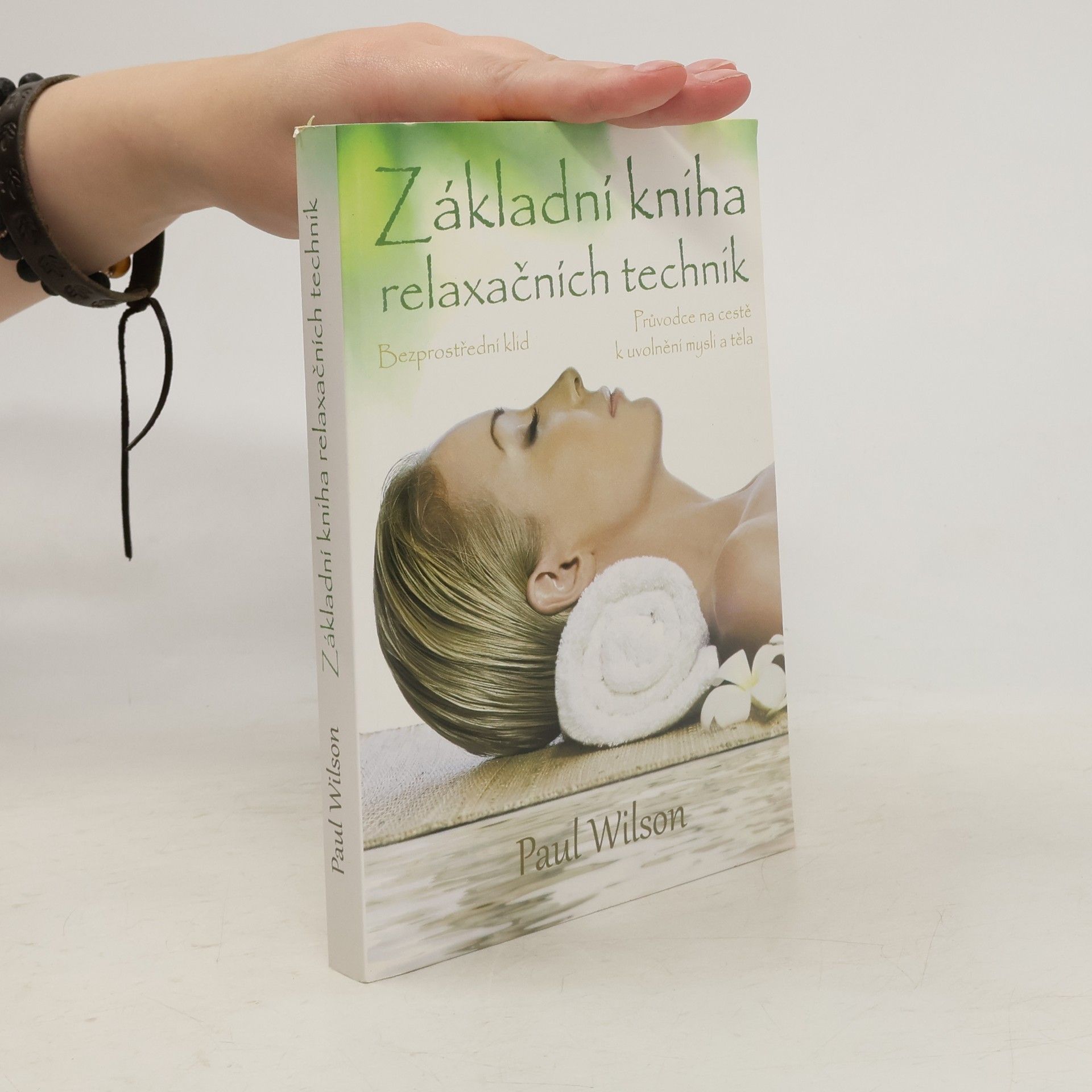 Paul Wilson Základní kniha relaxačních technik