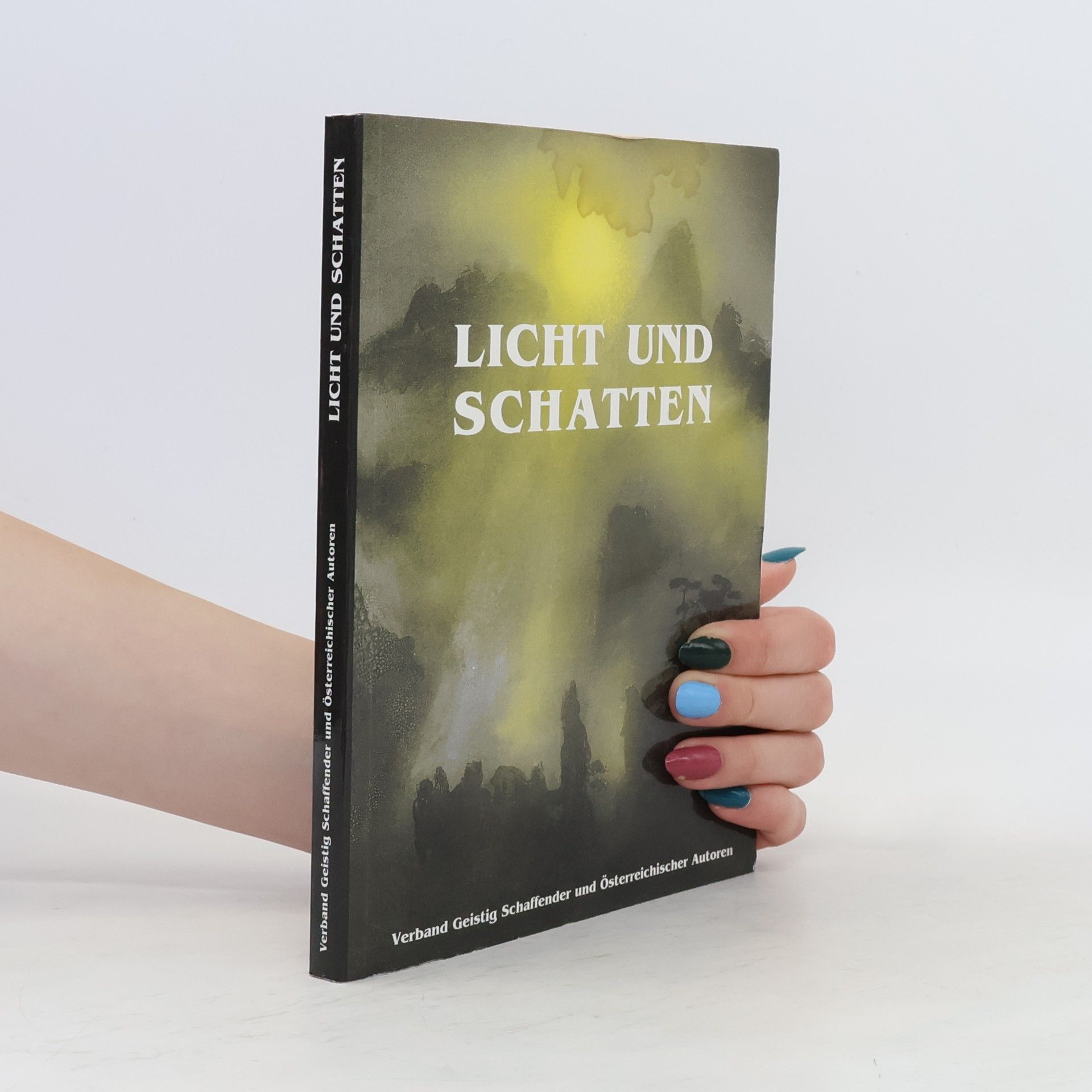 Collectif d'auteurs Licht und Schatten