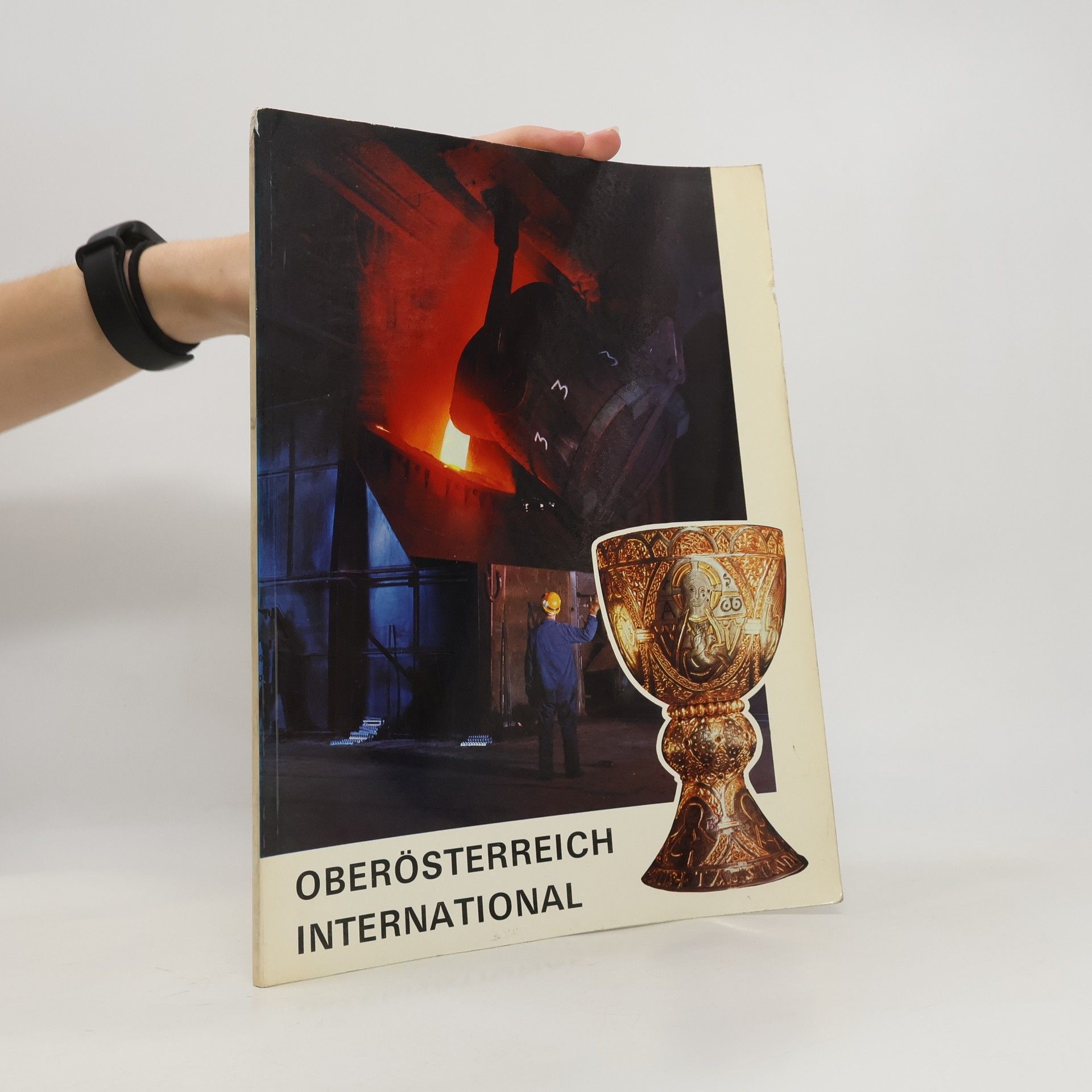 Collectif d'auteurs Oberösterreich International