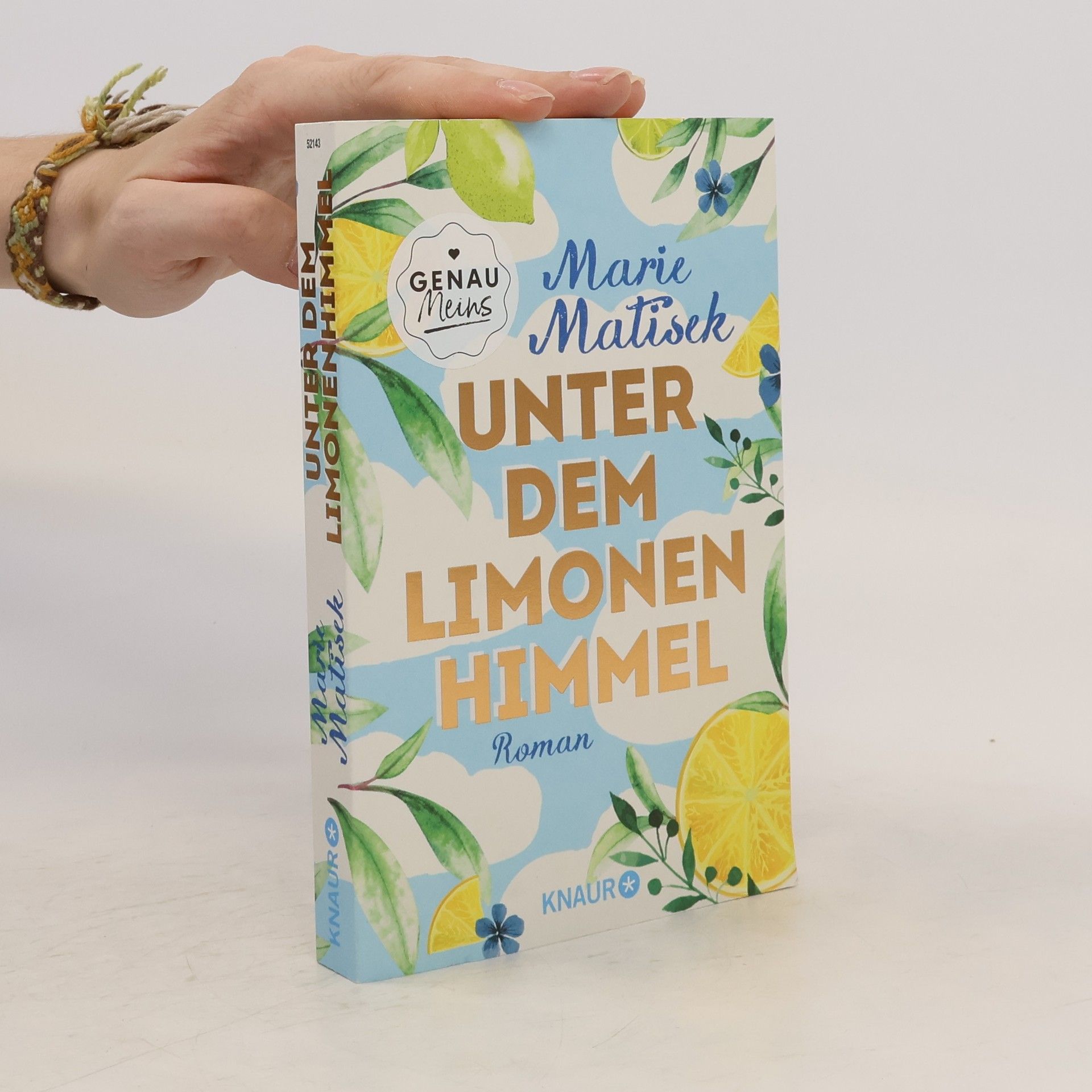 Marie Matisek Unter dem Limonenhimmel