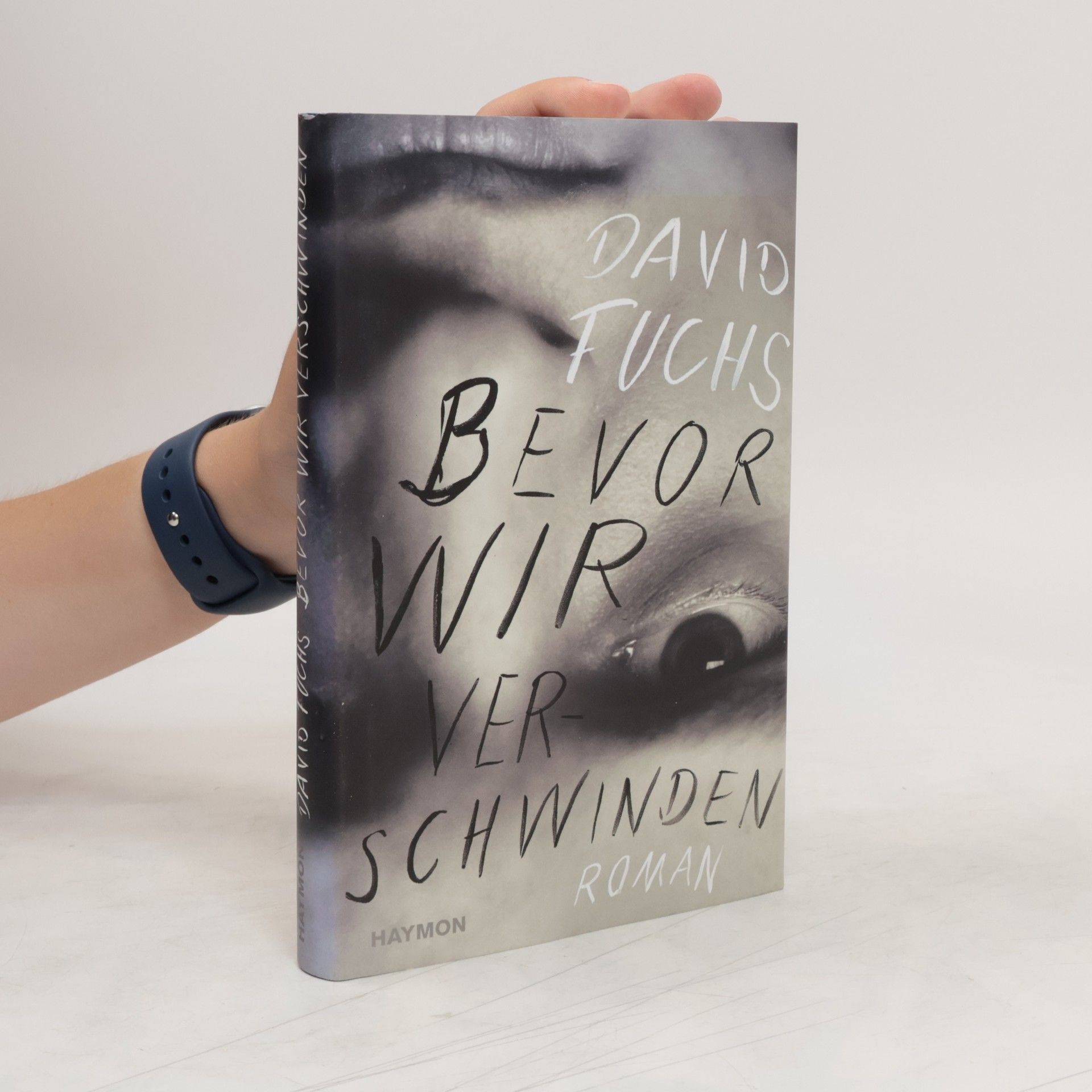 David Fuchs Bevor wir verschwinden