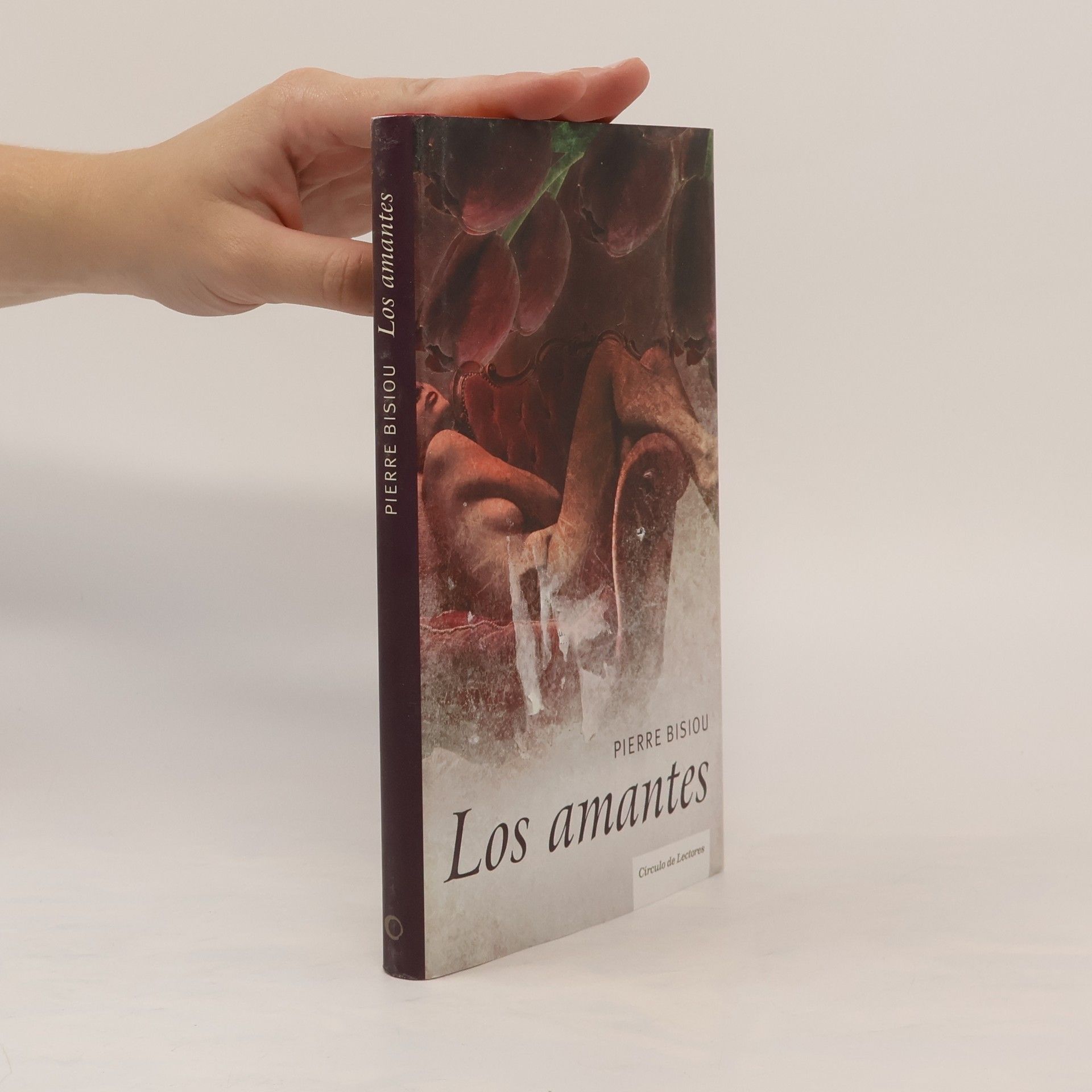 Pierre Bisiou Los amantes