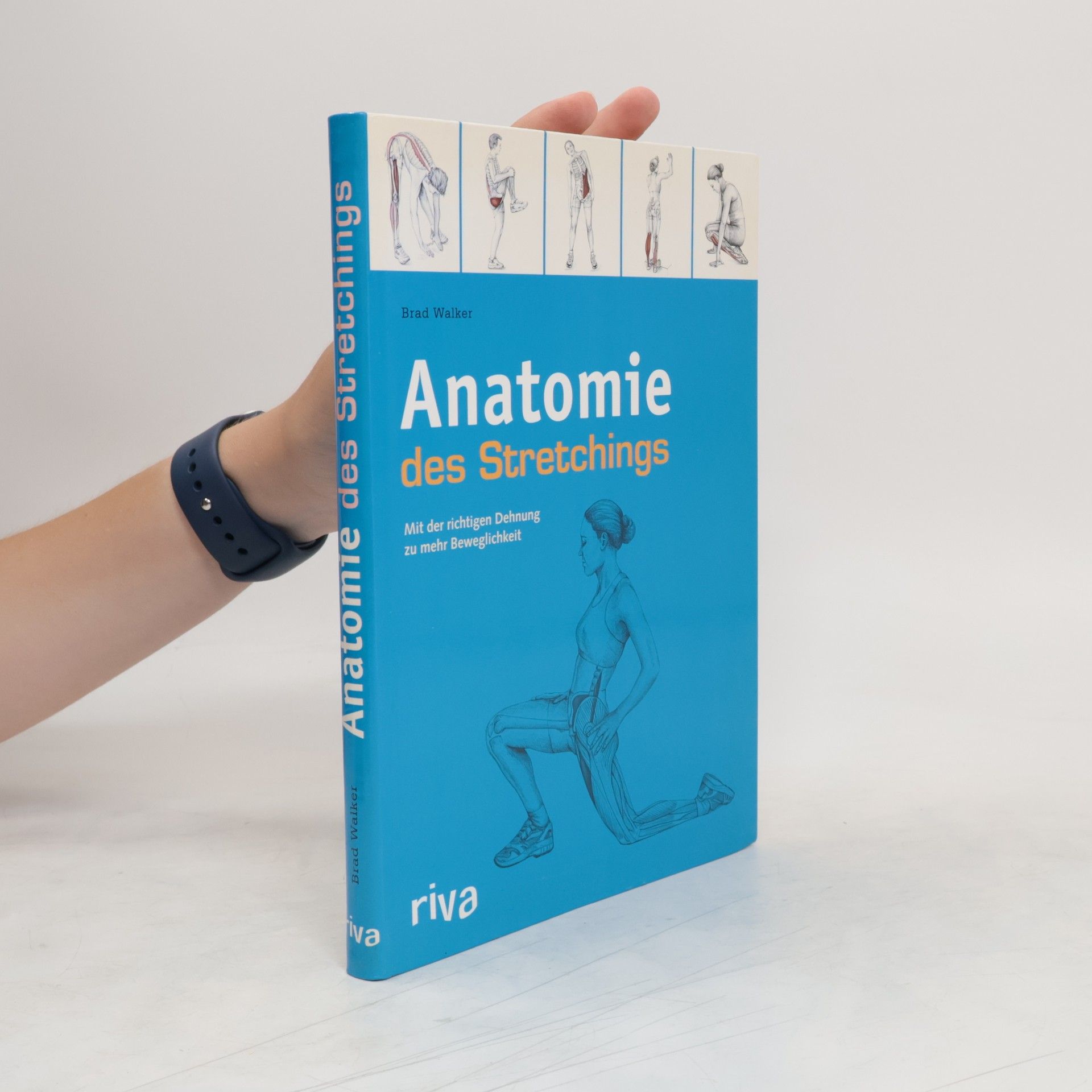 Brad Walker Anatomie des Stretchings