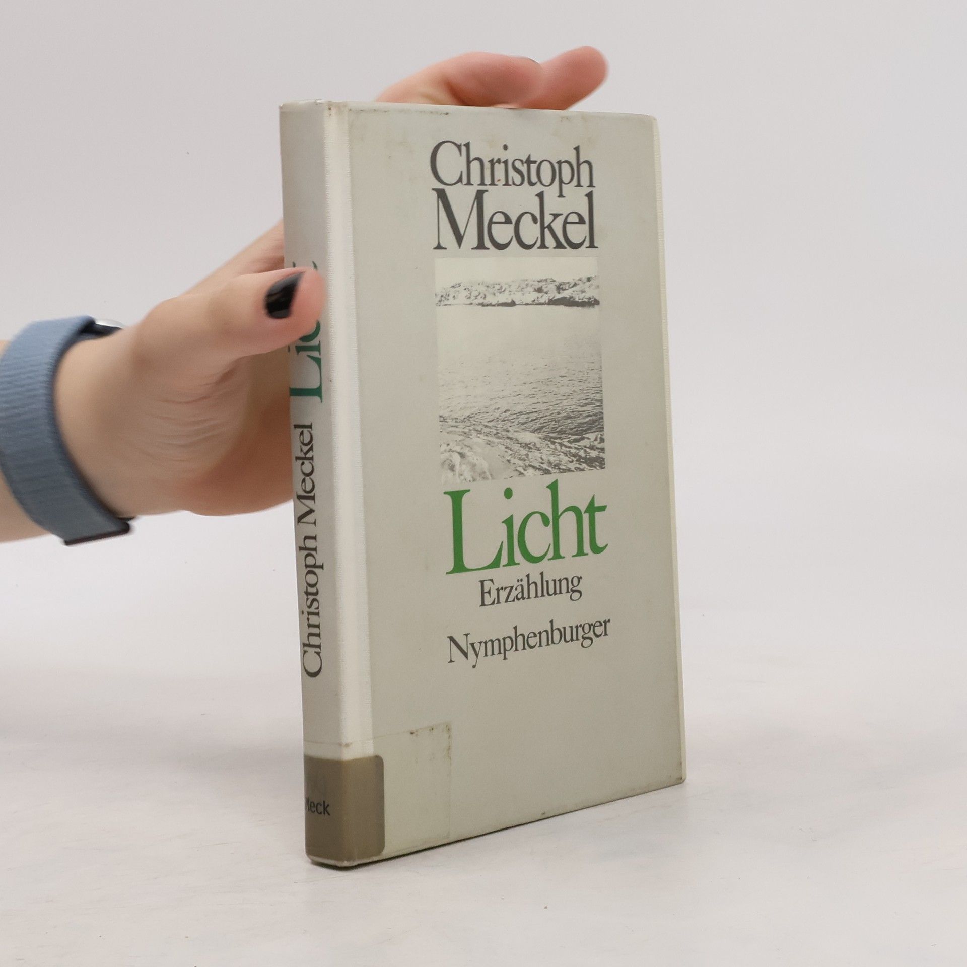 Christoph Meckel Licht