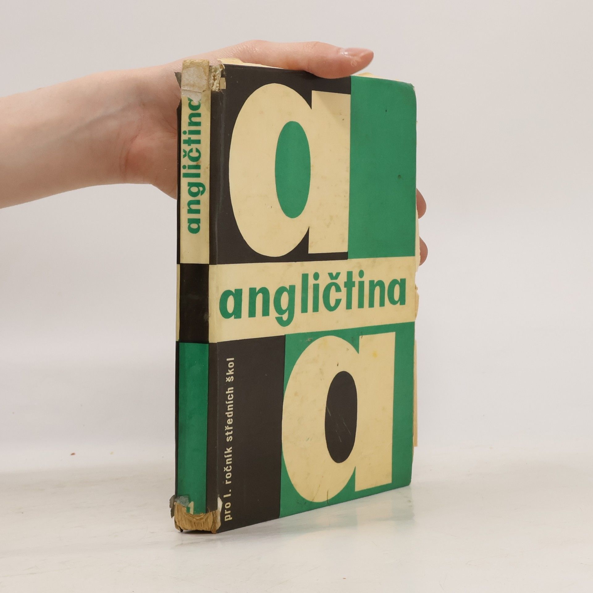Collective Angličtina pro 1. ročník středních škol