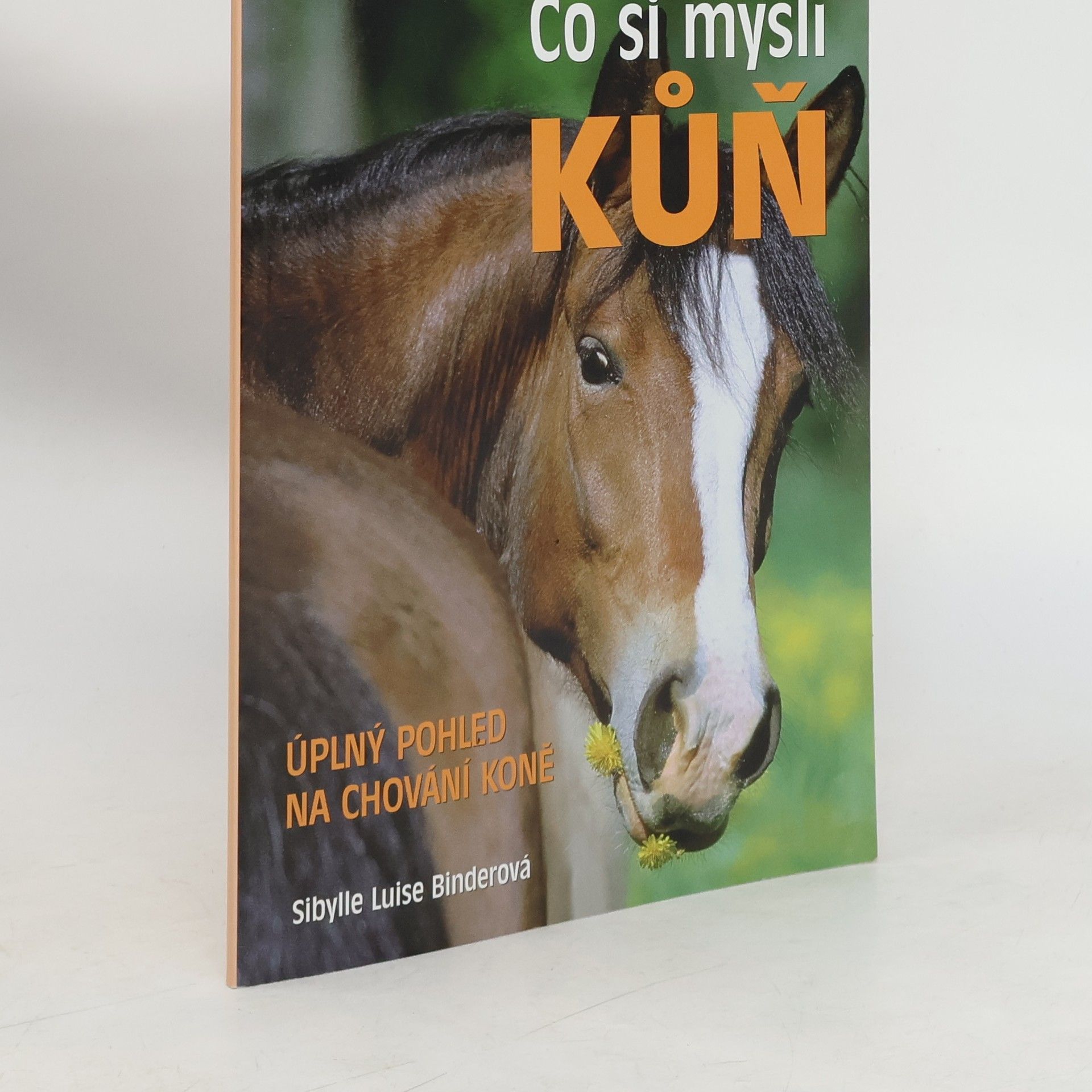 Sibylle Luise Binder Co si myslí kůň : úplný pohled na chování koně