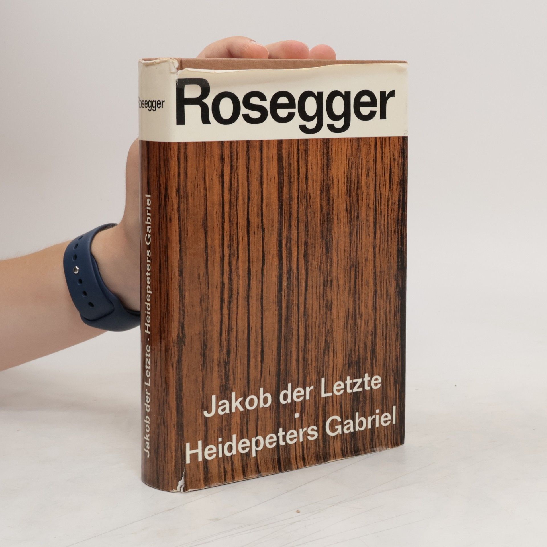 Petr Rosegger Jakob der Letzte; Heidepeters Gabriel