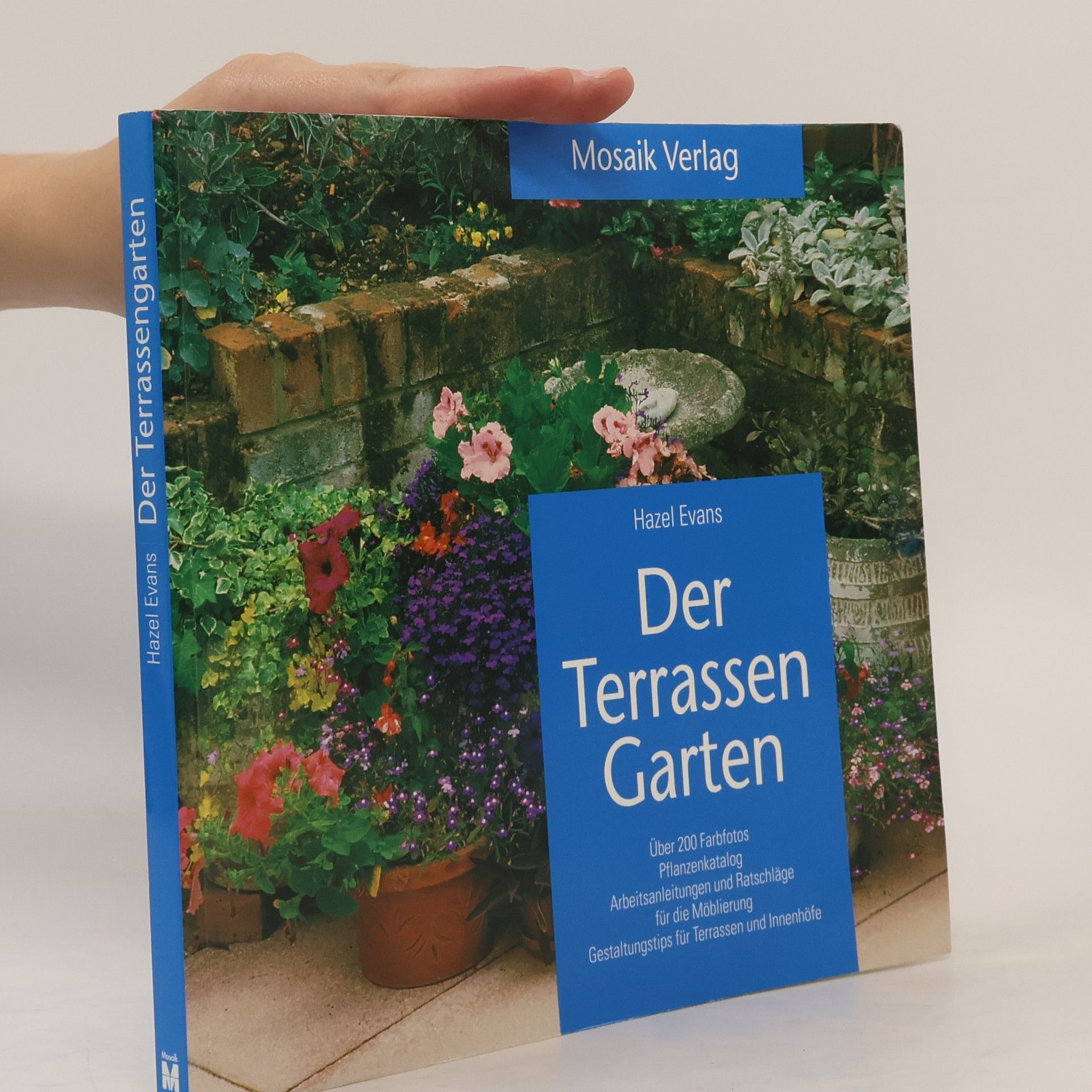 Hazel Evans Der Terrassengarten