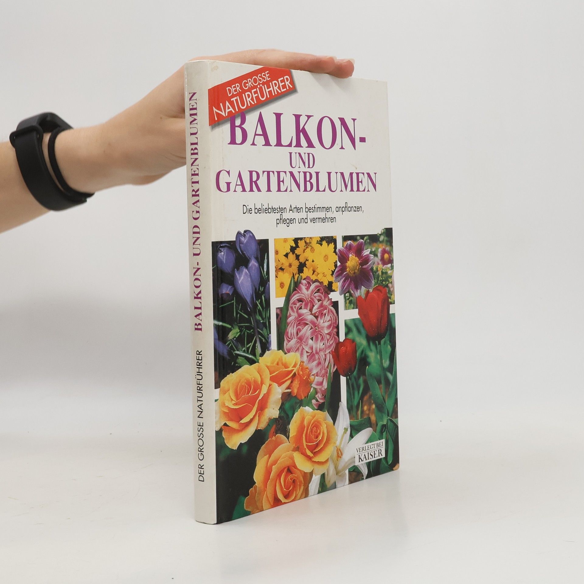 Maria Teresa Della Beffa Balkon- und Gartenblumen