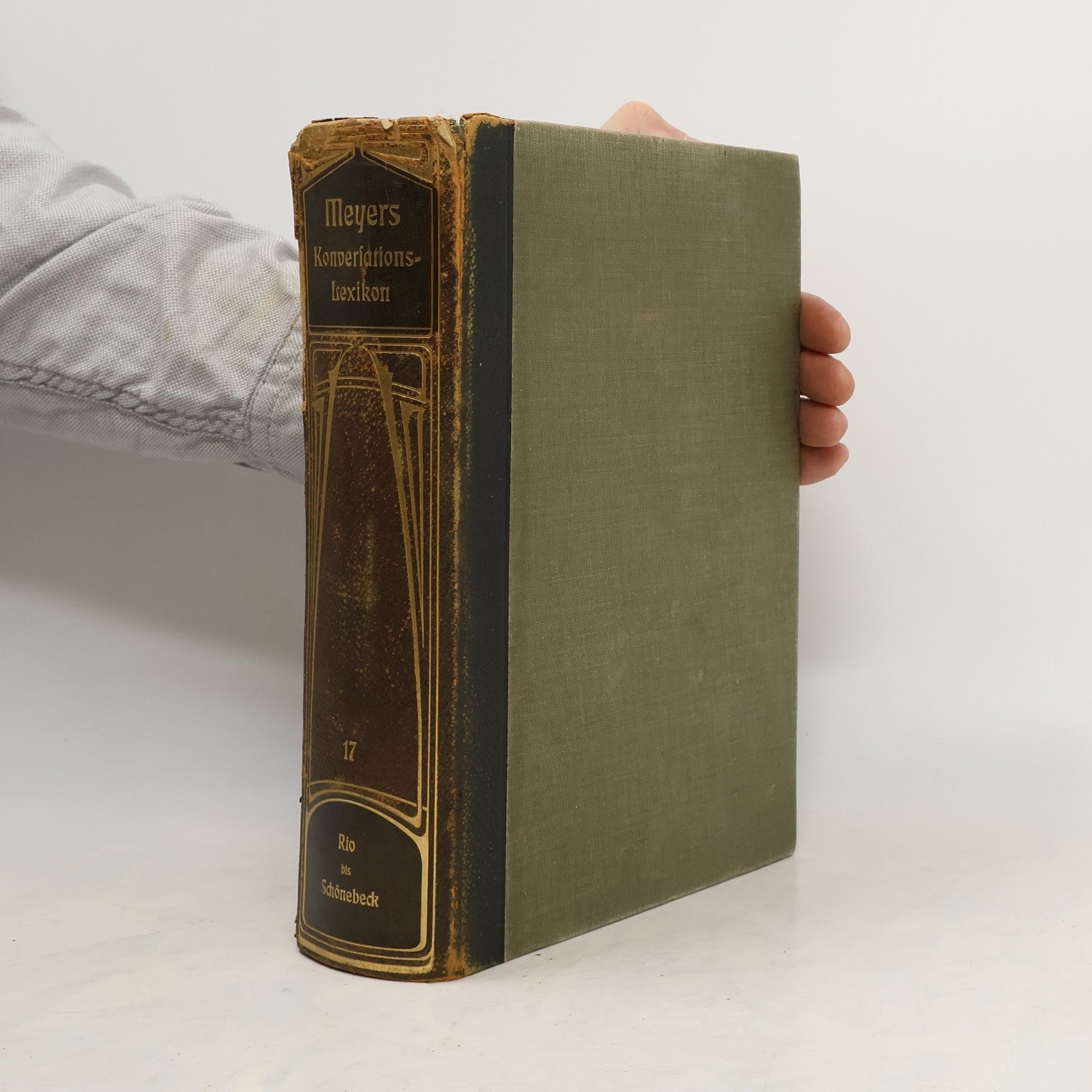 Kolektiv autorů Meyers grosses Konversations-Lexikon 17
