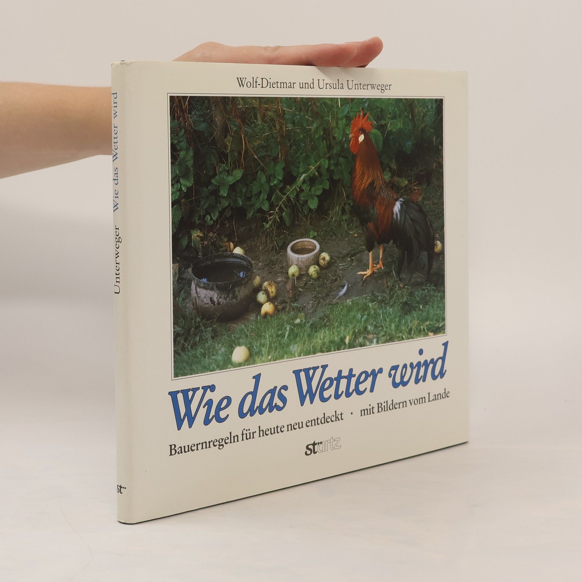 Wolf-Dietmar Unterweger Wie das Wetter wird