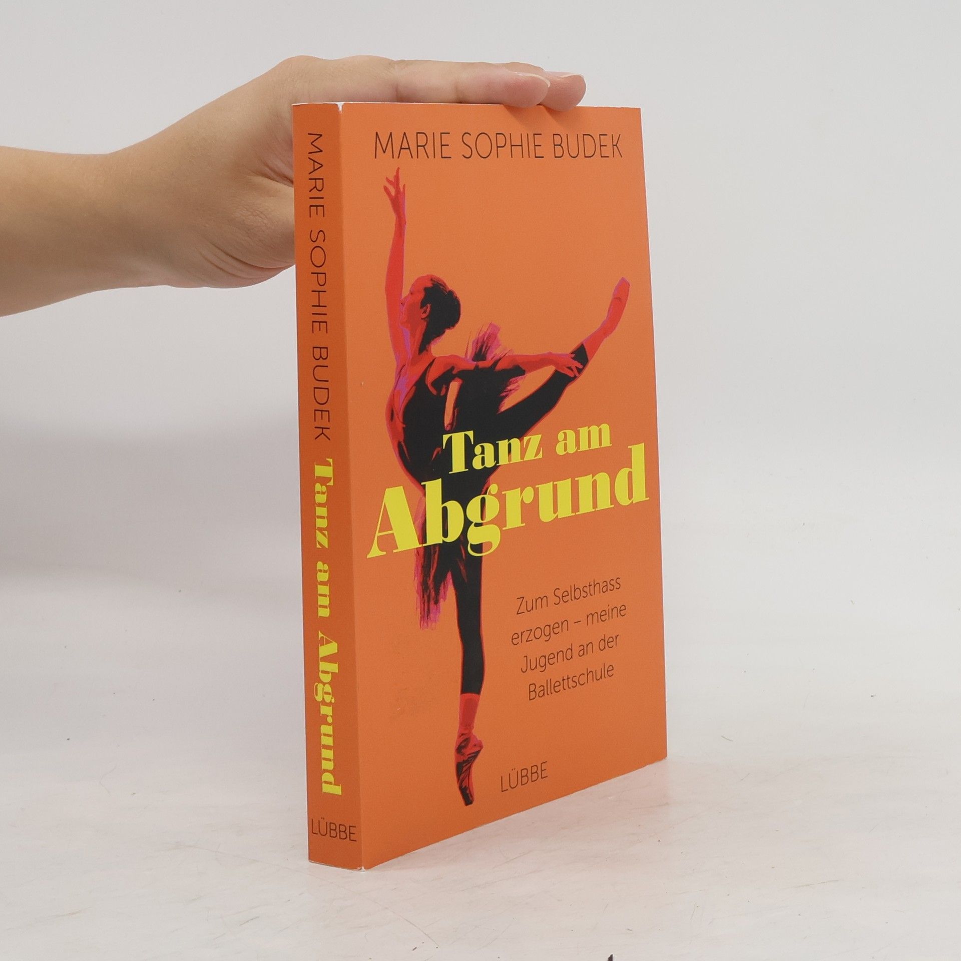 Marie Sophie Budek Tanz am Abgrund