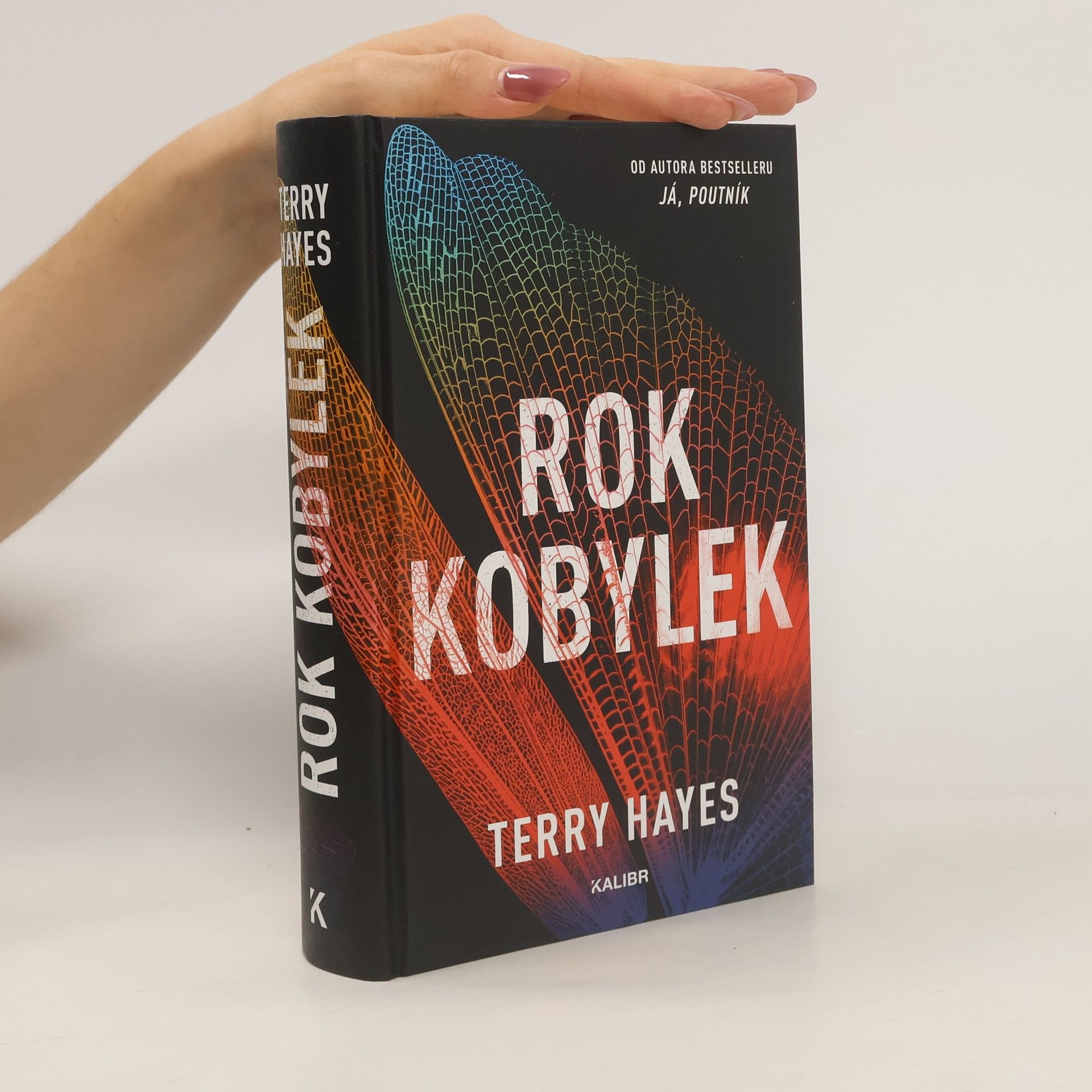 Terry Hayes Rok kobylek
