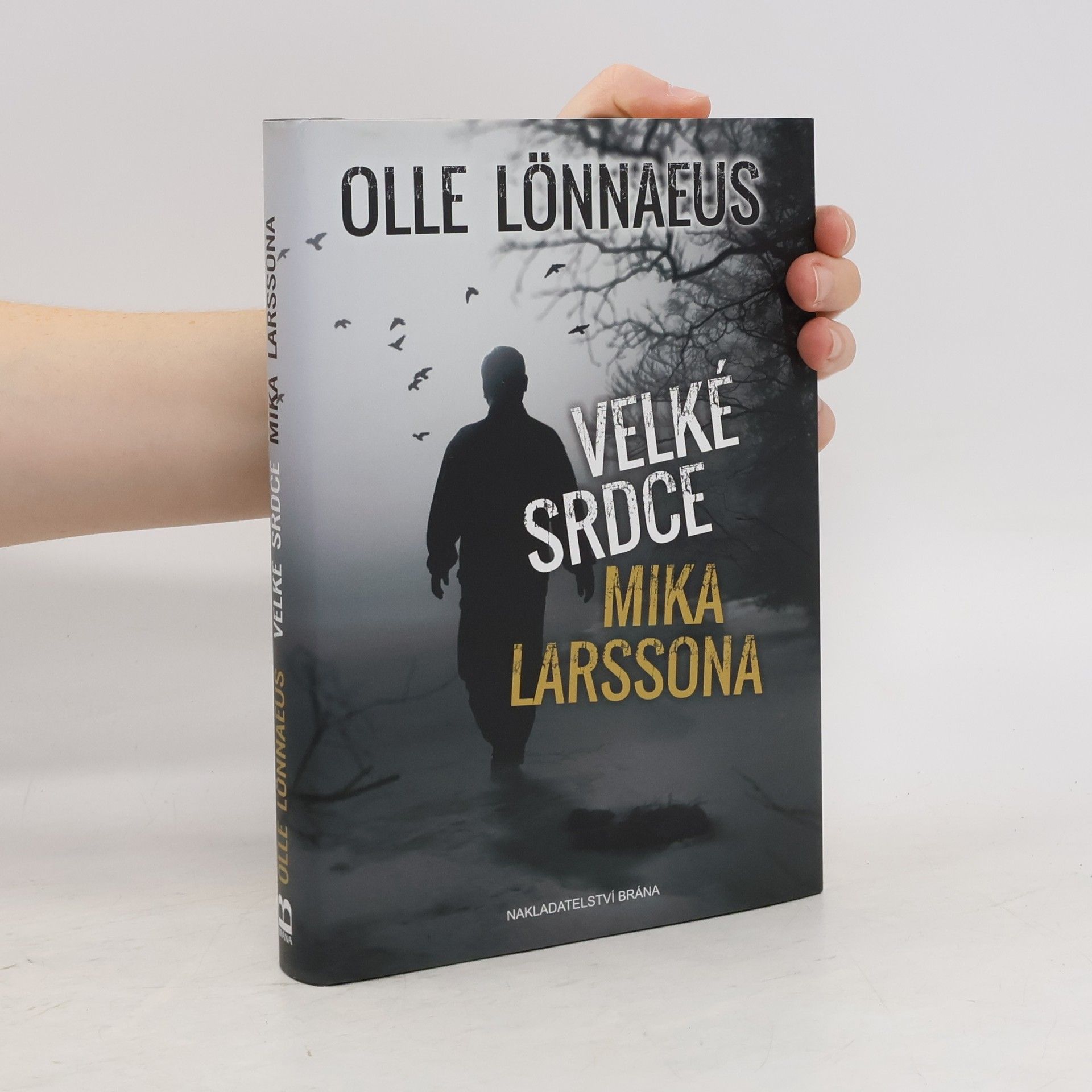 Olle Lönnaeus Velké srdce Mika Larssona