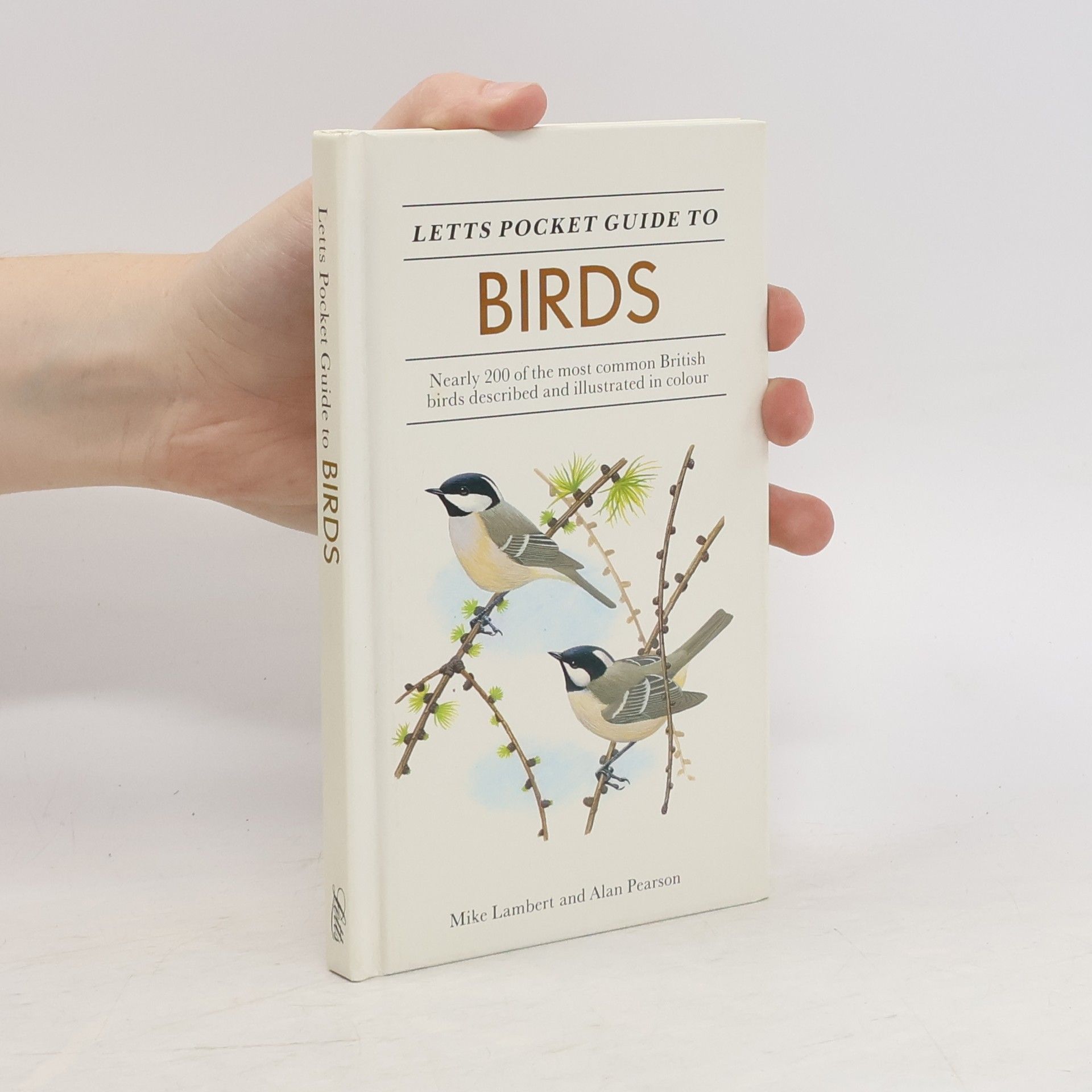 Mike Lambert Letts Pocket Guide to Birds