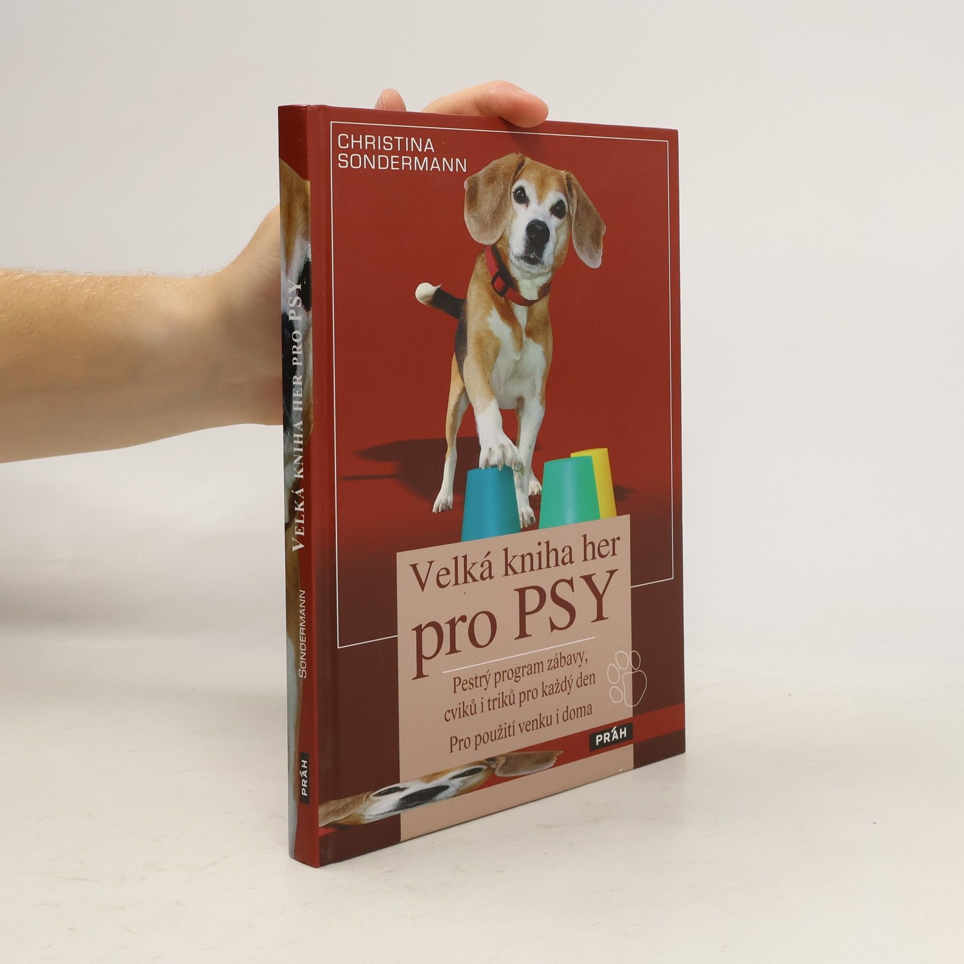 Christina Sondermann Velká kniha her pro psy: Pestrý program zábavy, cviků i triků pro každý den