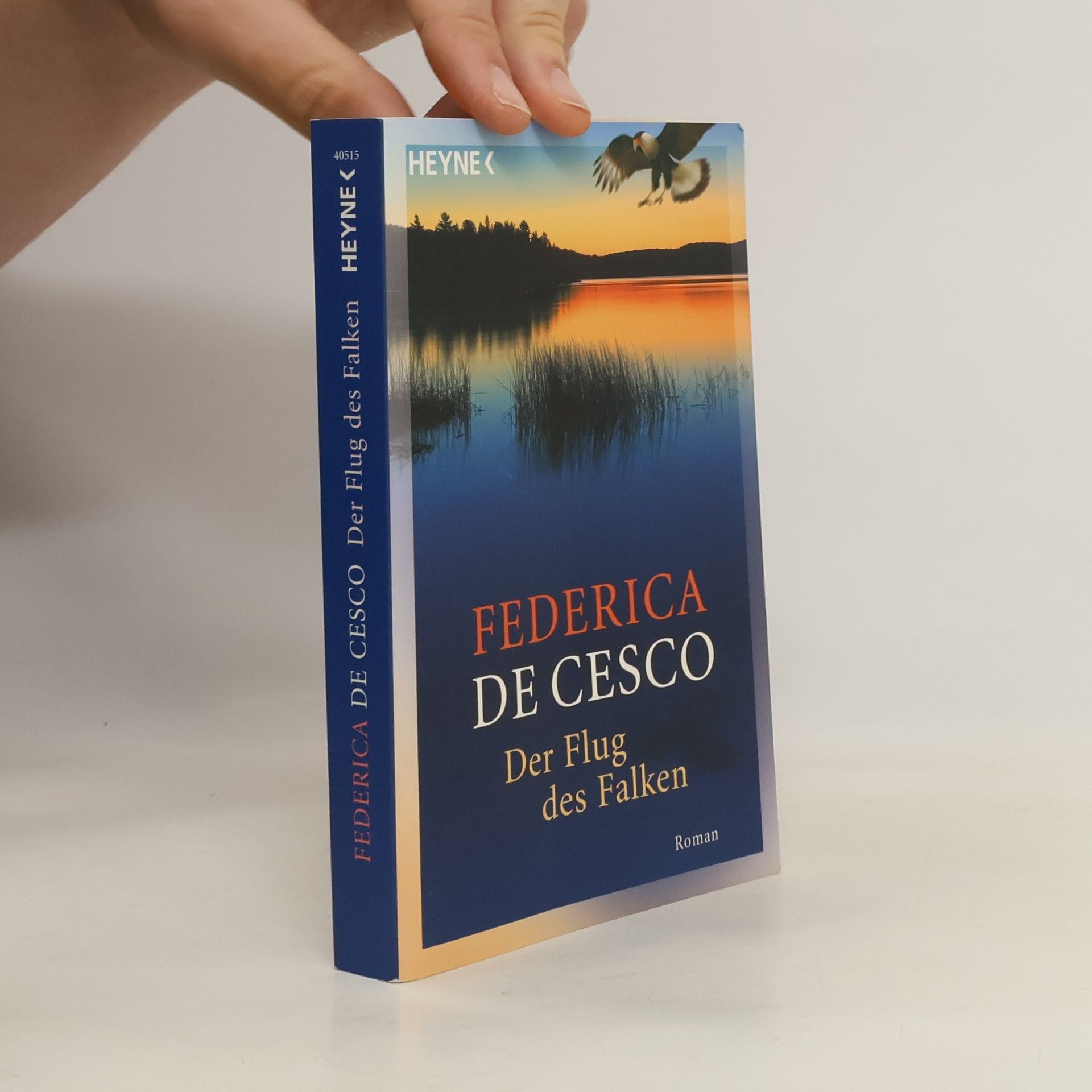 Federica de Cesco Der Flug des Falken