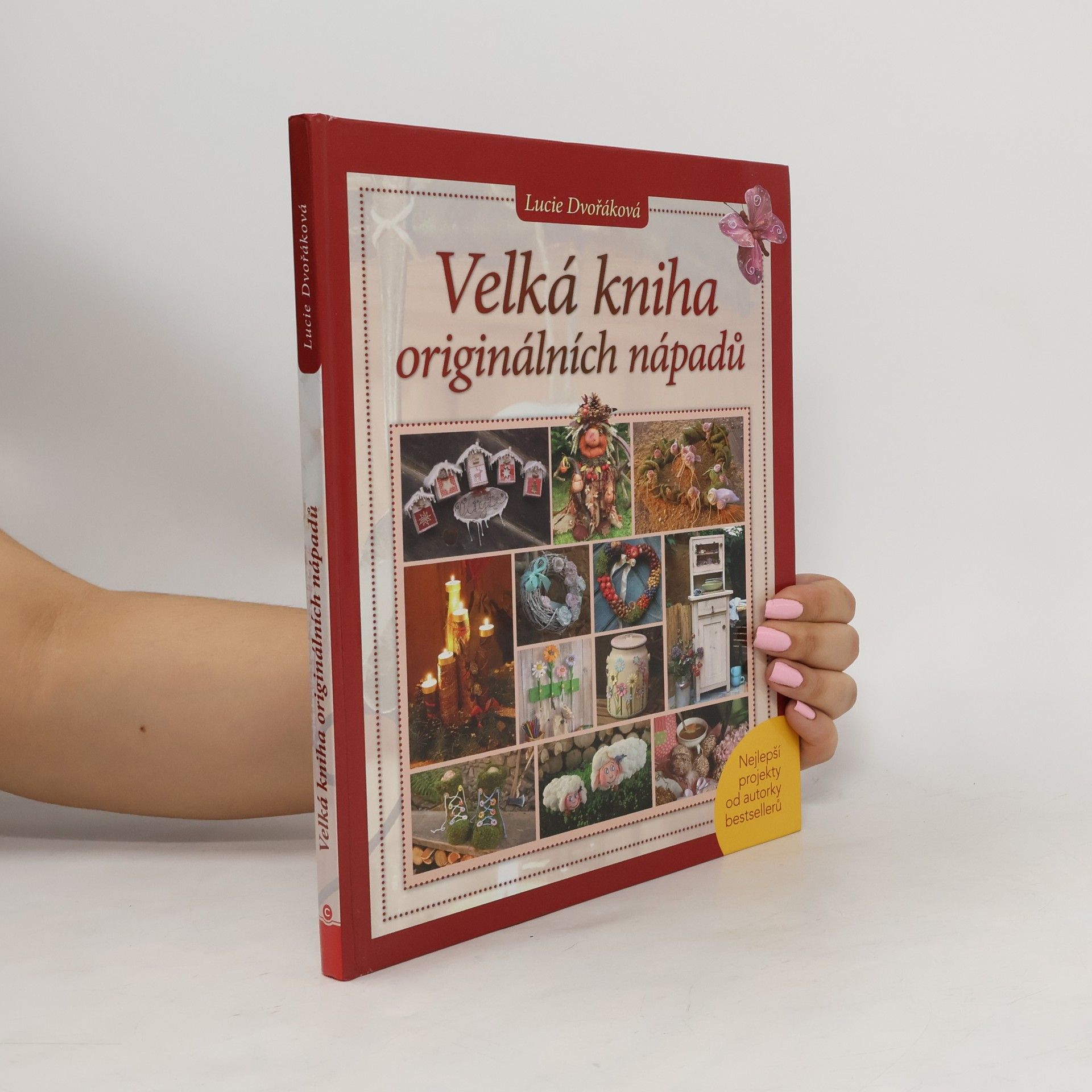 Lucie Dvořáková Velká kniha originálních nápadů
