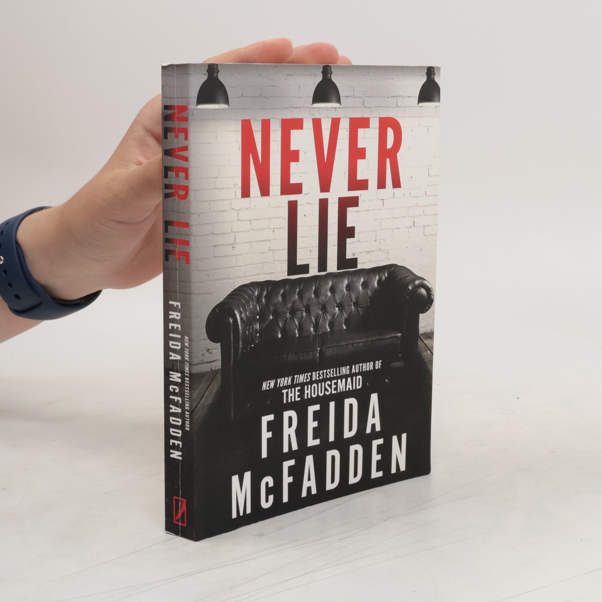 Freida McFadden Never Lie