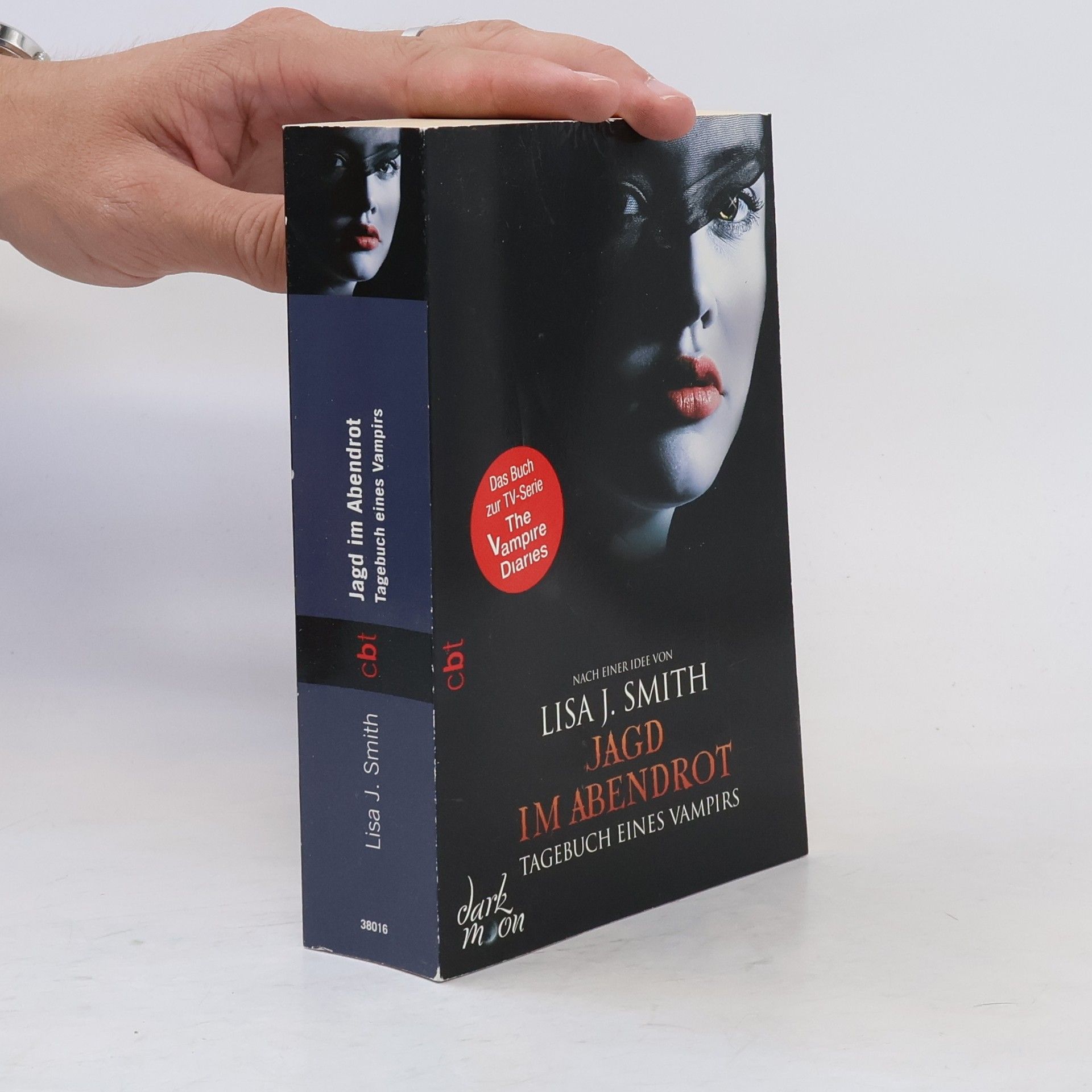 Lisa J. Smith Jagd im Abendrot