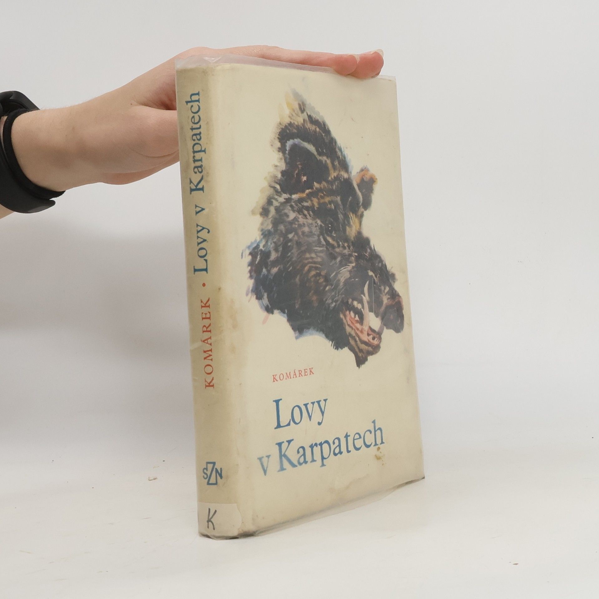 Julius Komárek Lovy v Karpatech