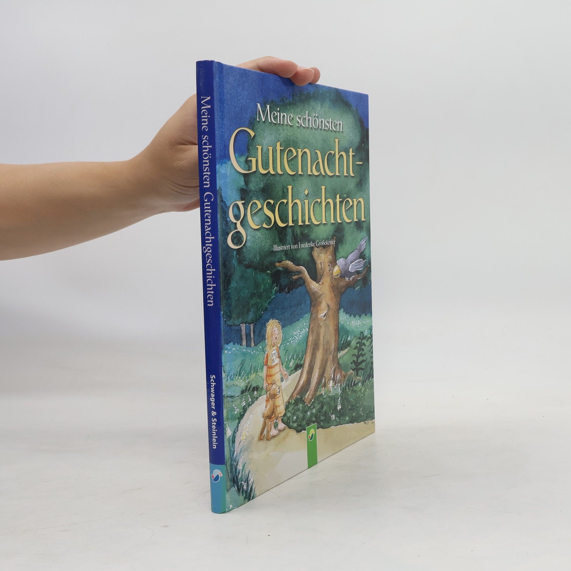 Autorenkollektiv Meine schönsten Gutenachtgeschichten