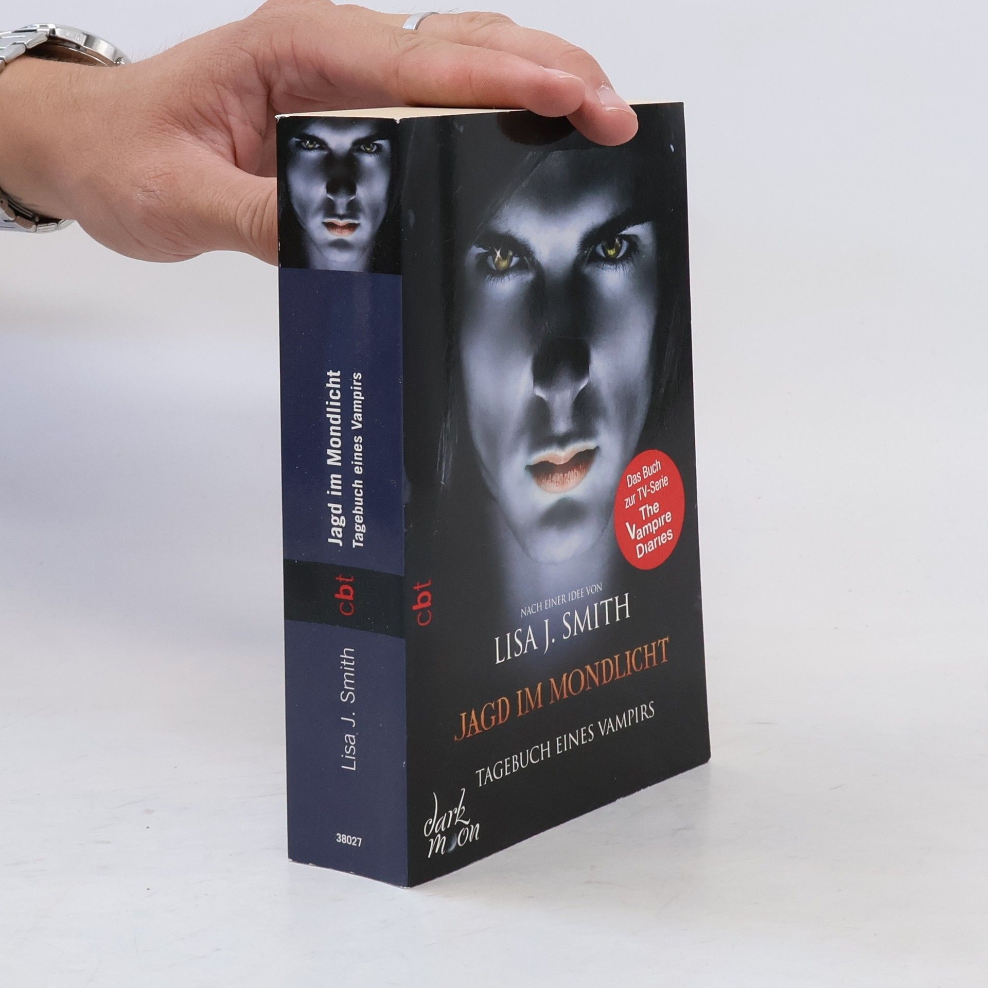 L. J. Smith Jagd im Mondlicht
