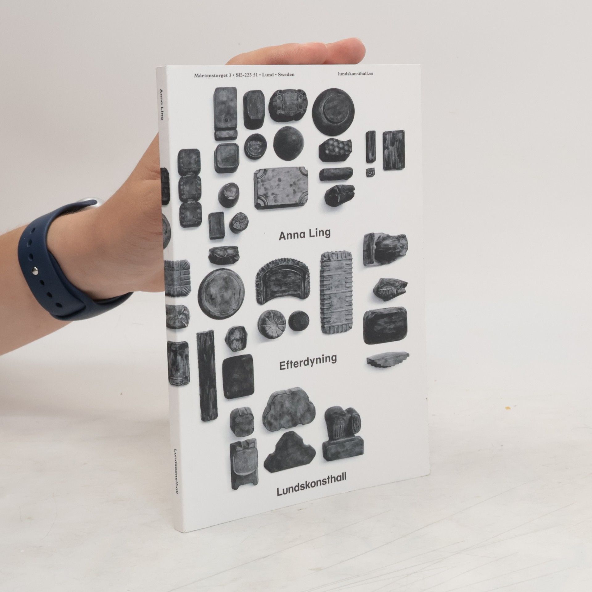 Anna Ling Efterdyning