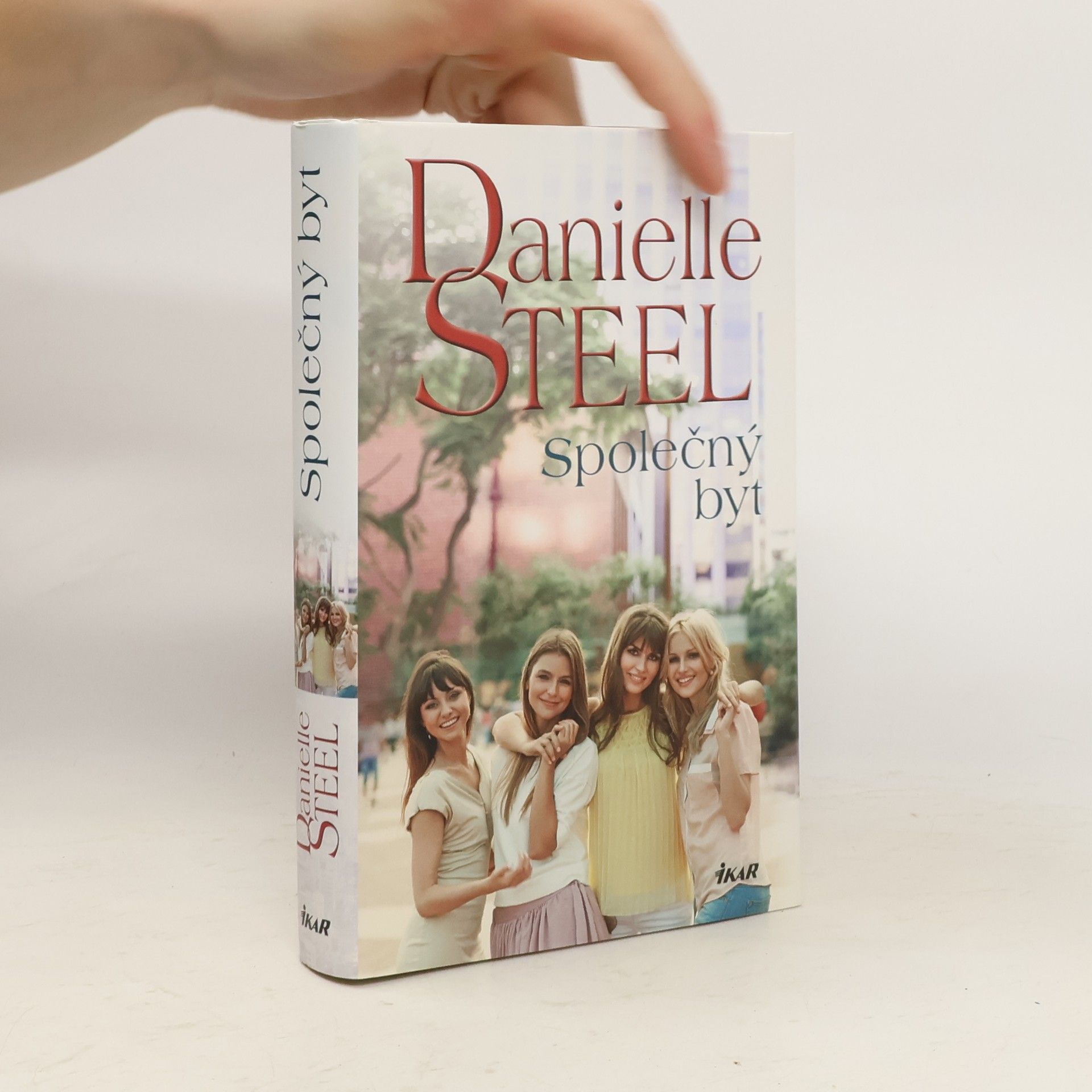 Danielle Steel Společný byt