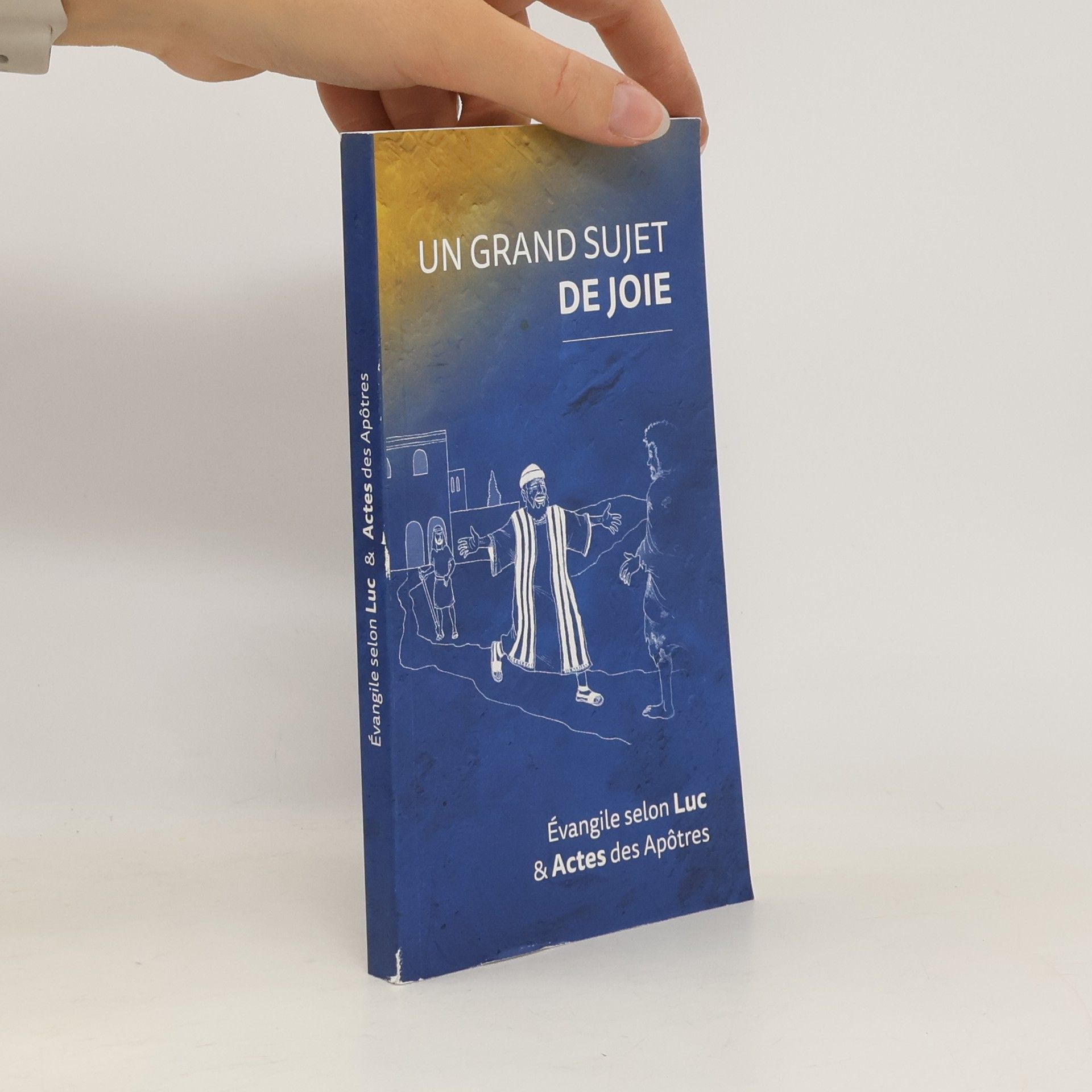 Collectif d'auteurs Un grand sujet de joie